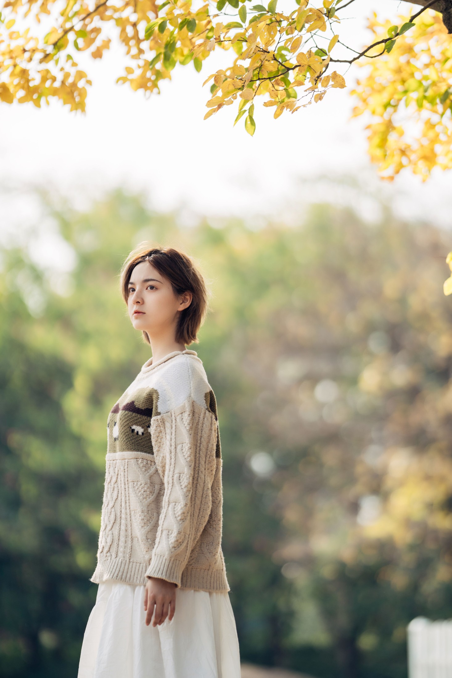 图片[3]-冯玉憬 – 《暖冬银杏，18岁的素颜女孩》[35P]-COS写真在线网