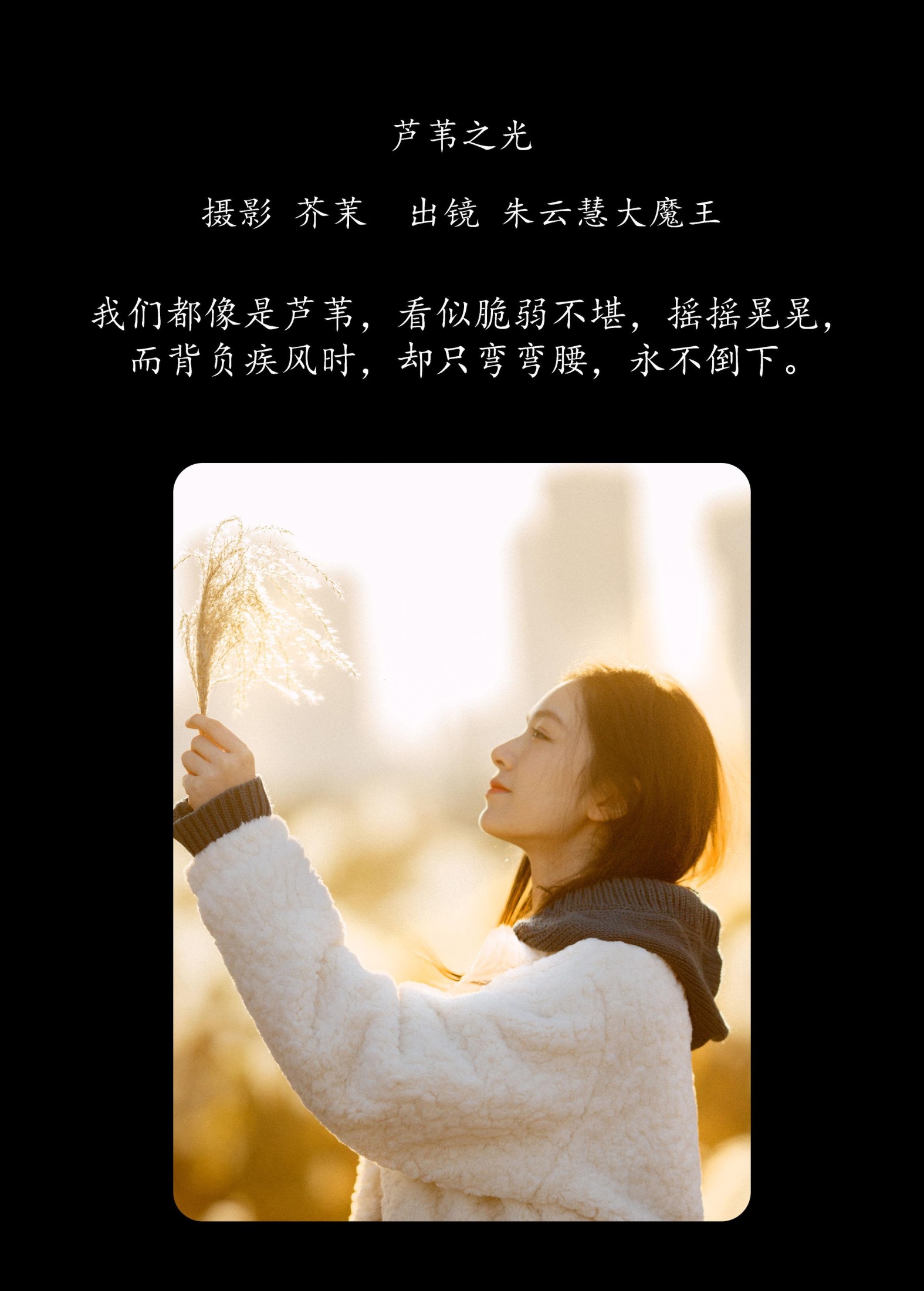 朱云慧大魔王 – 《芦苇之光》[24P] 插图2