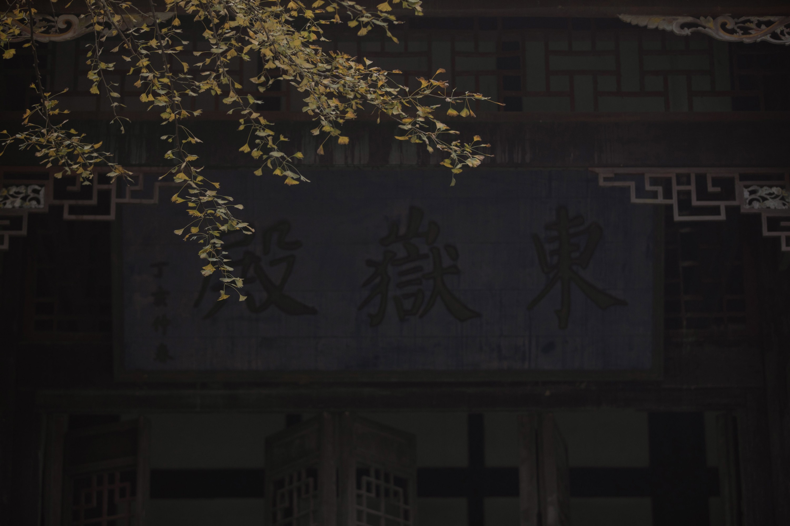 二鱼阿 – 《念及》[28P] 插图4