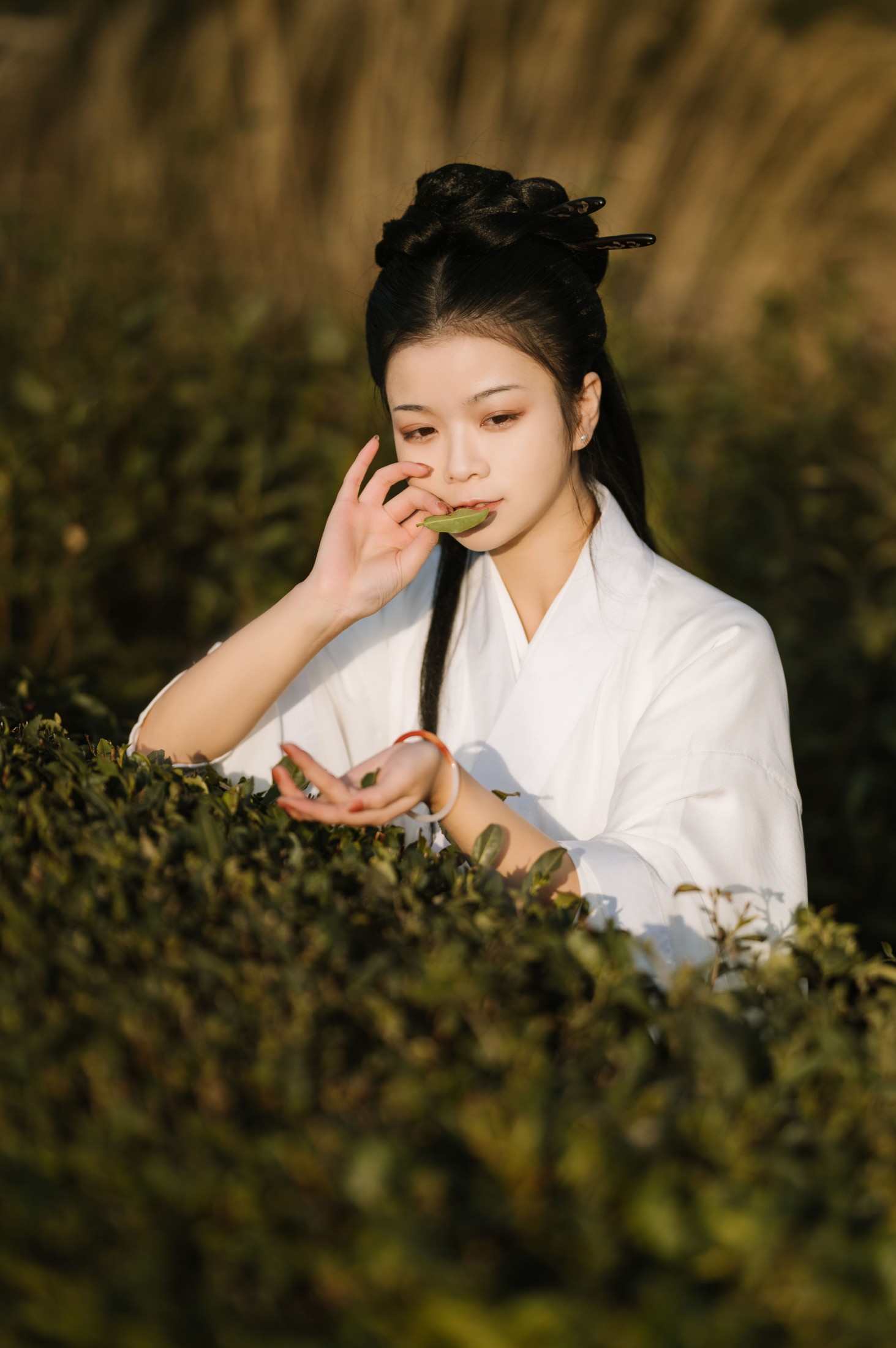 藏茗茗茗茗 – 《采茶》[31P] 插图5