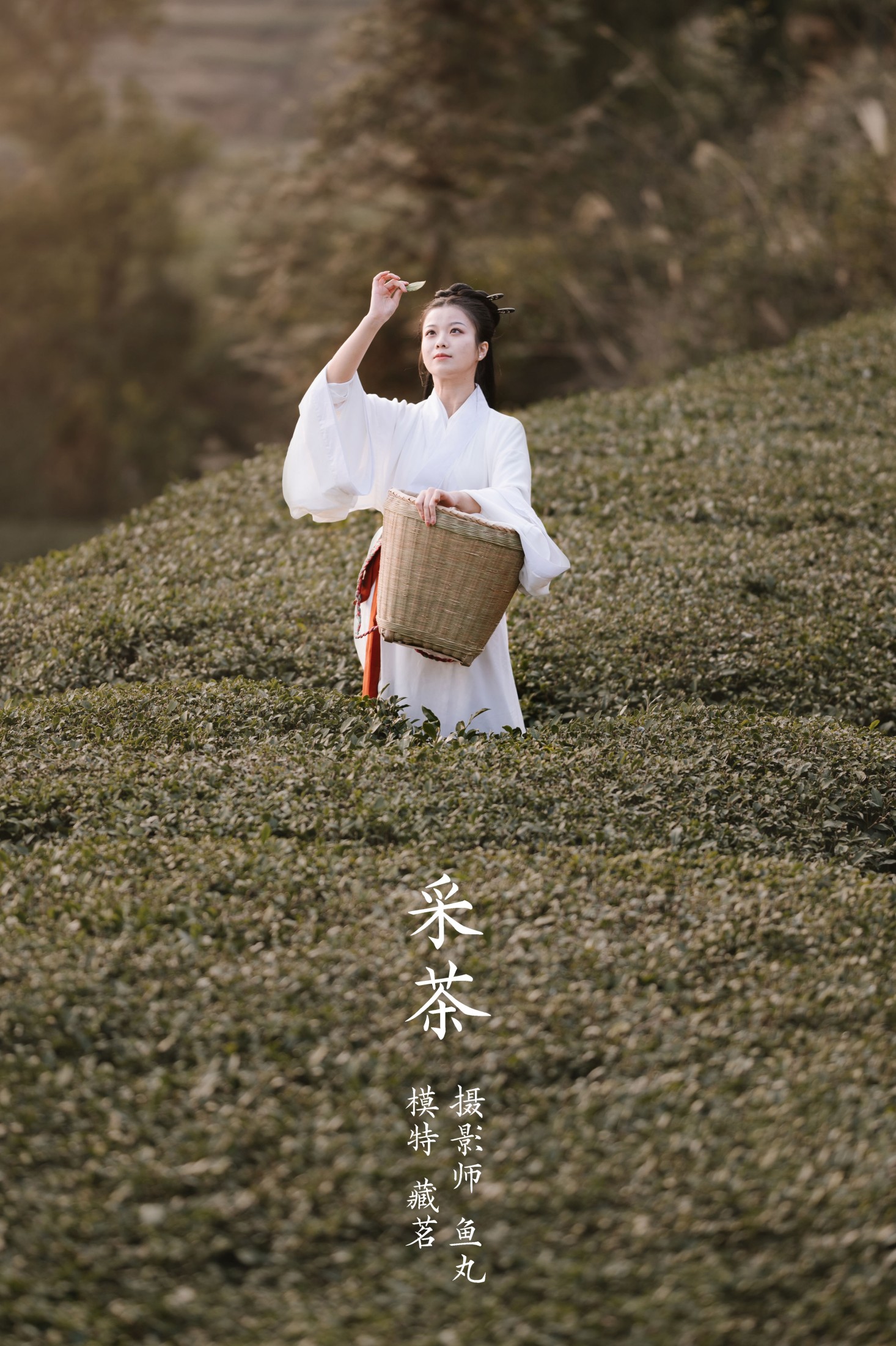 藏茗茗茗茗 – 《采茶》[31P] 插图1