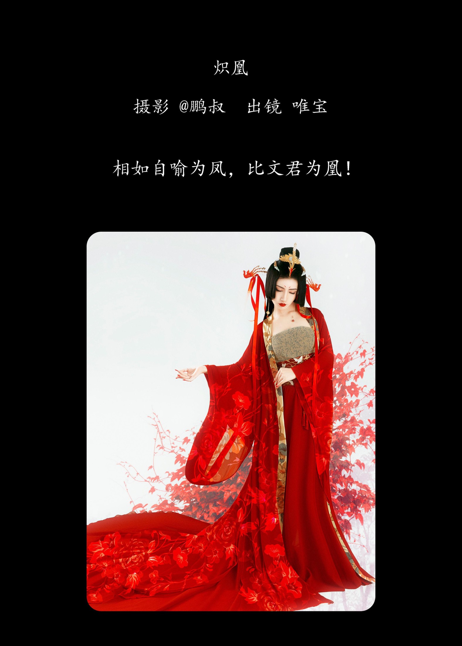 唯宝 – 《炽凰》[22P] 插图2