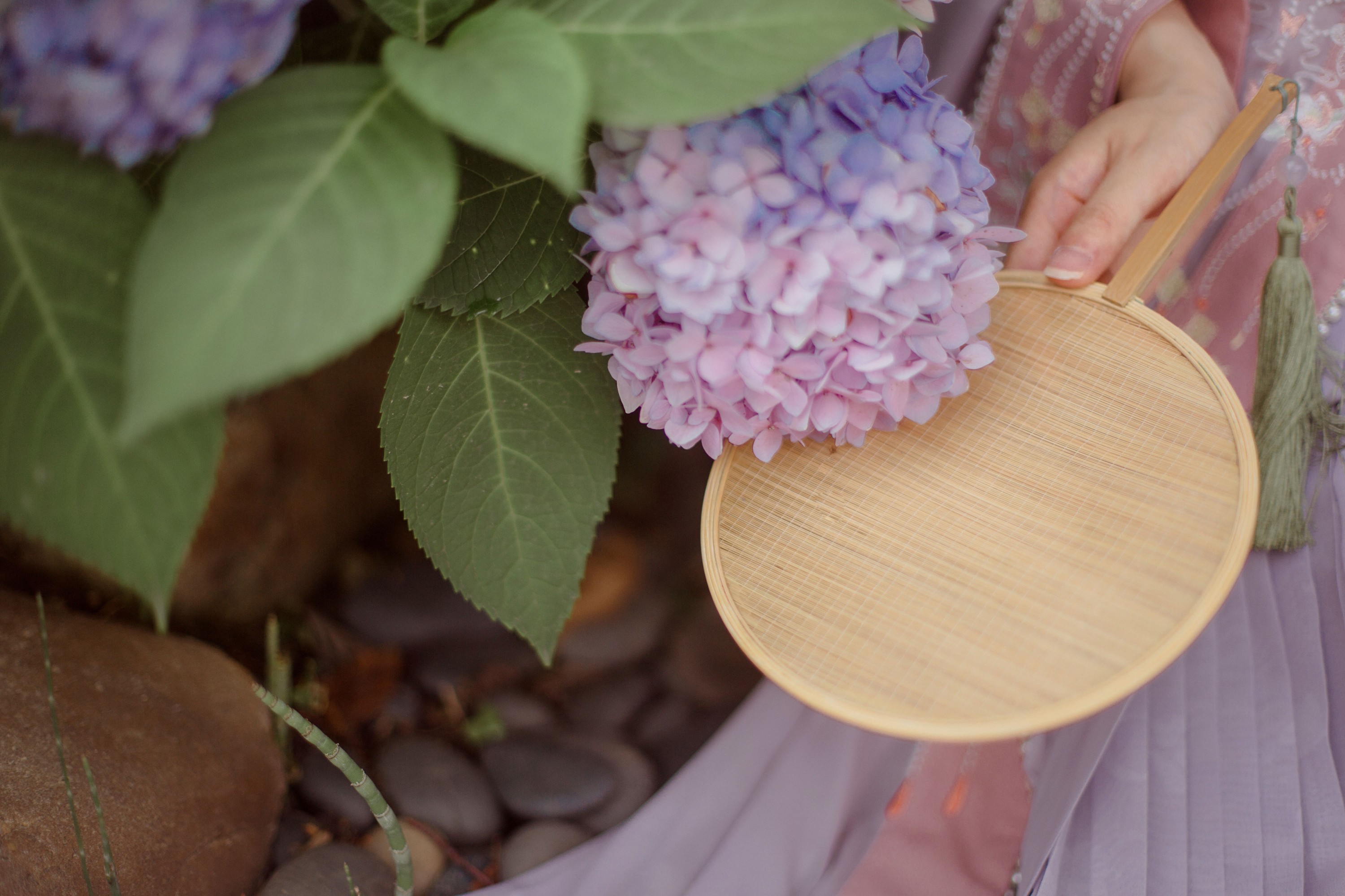 图片[6]-安安安格拉 – 《落尽繁花小院幽》[25P]-COS写真在线网