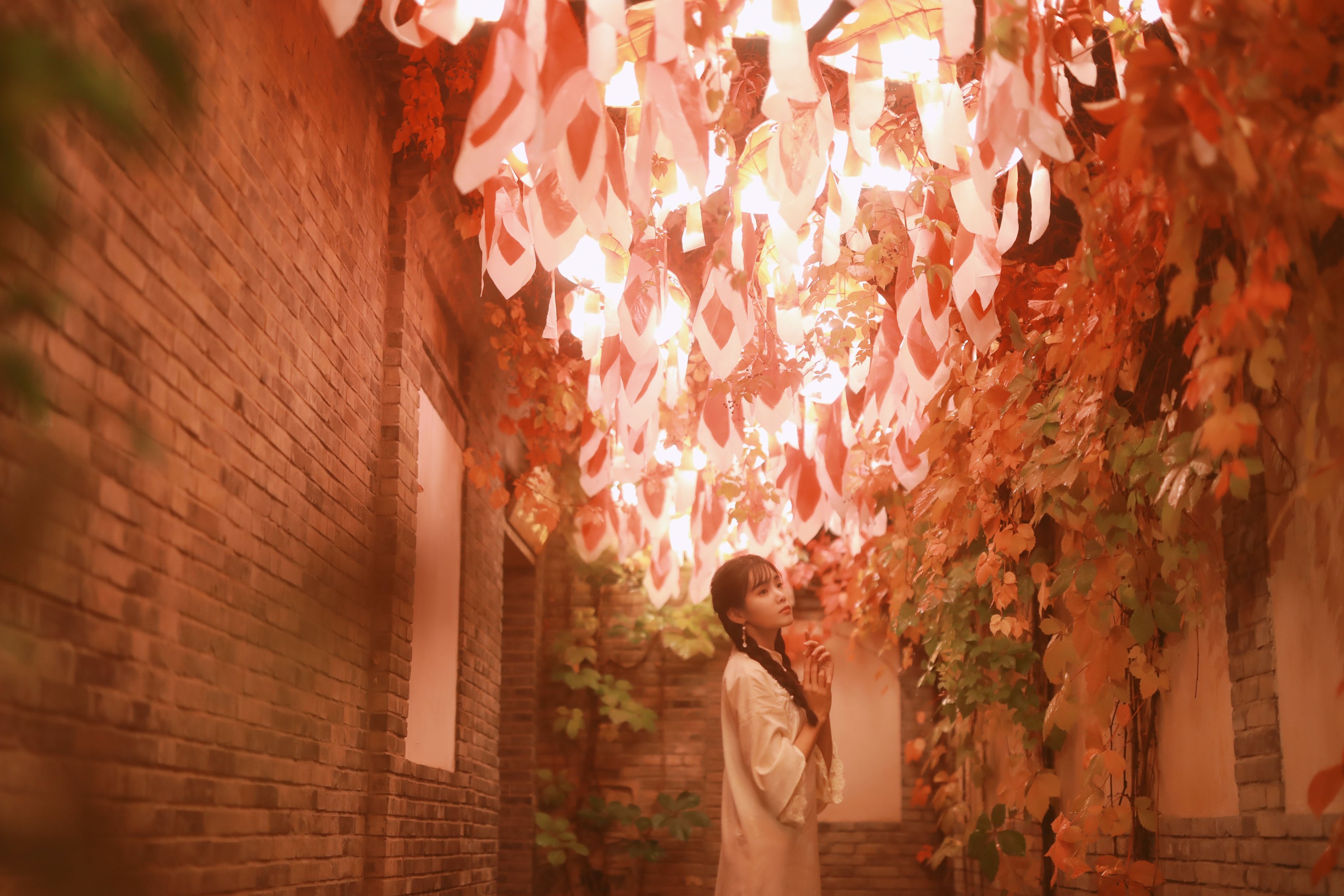 一颗蒲桃树 – 《我与春风皆过客，你携秋水揽星河》[31P] 插图3