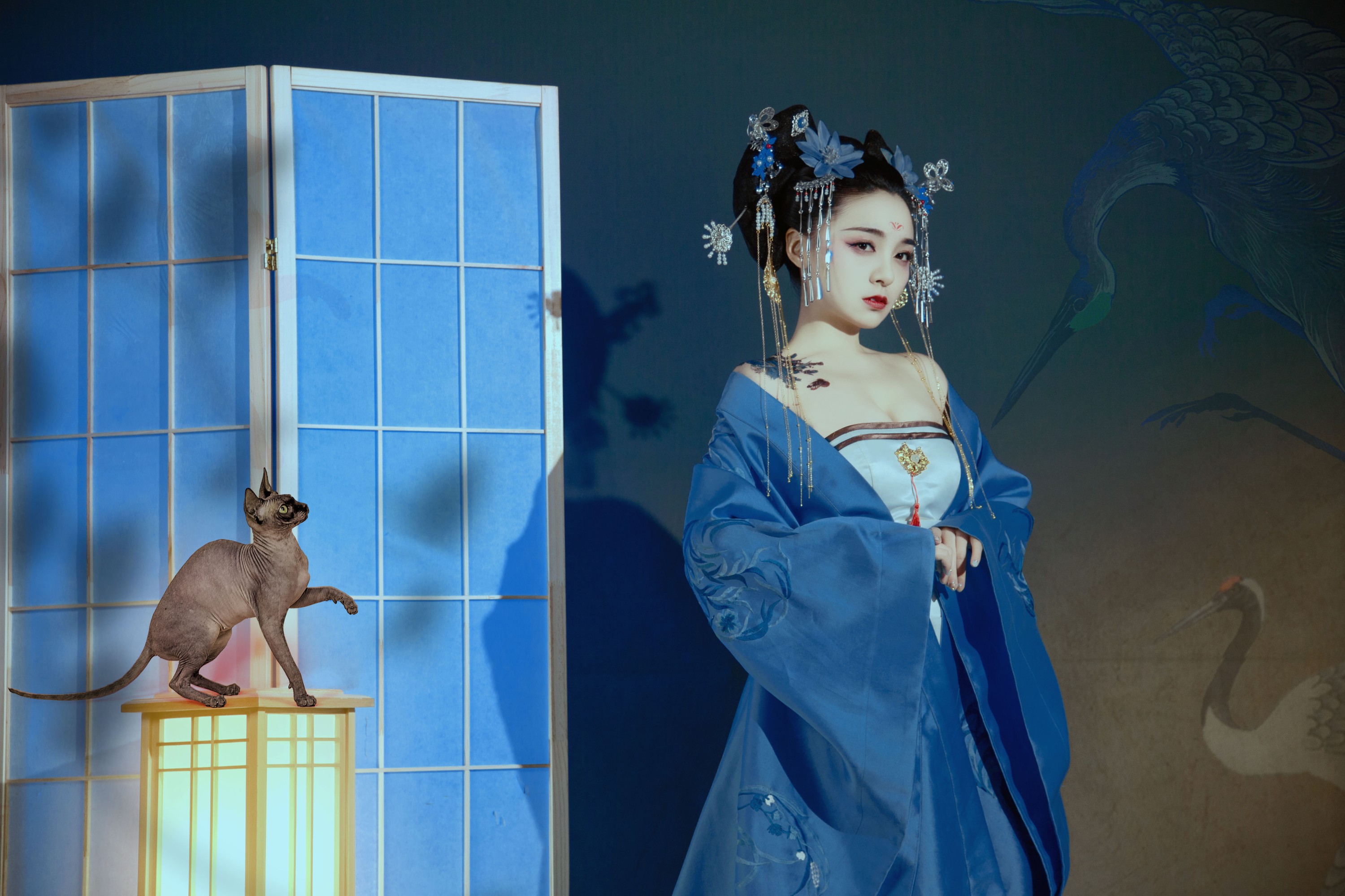 图片[6]-倩宝 – 《夜笙鹤2》[22P]-COS写真在线网