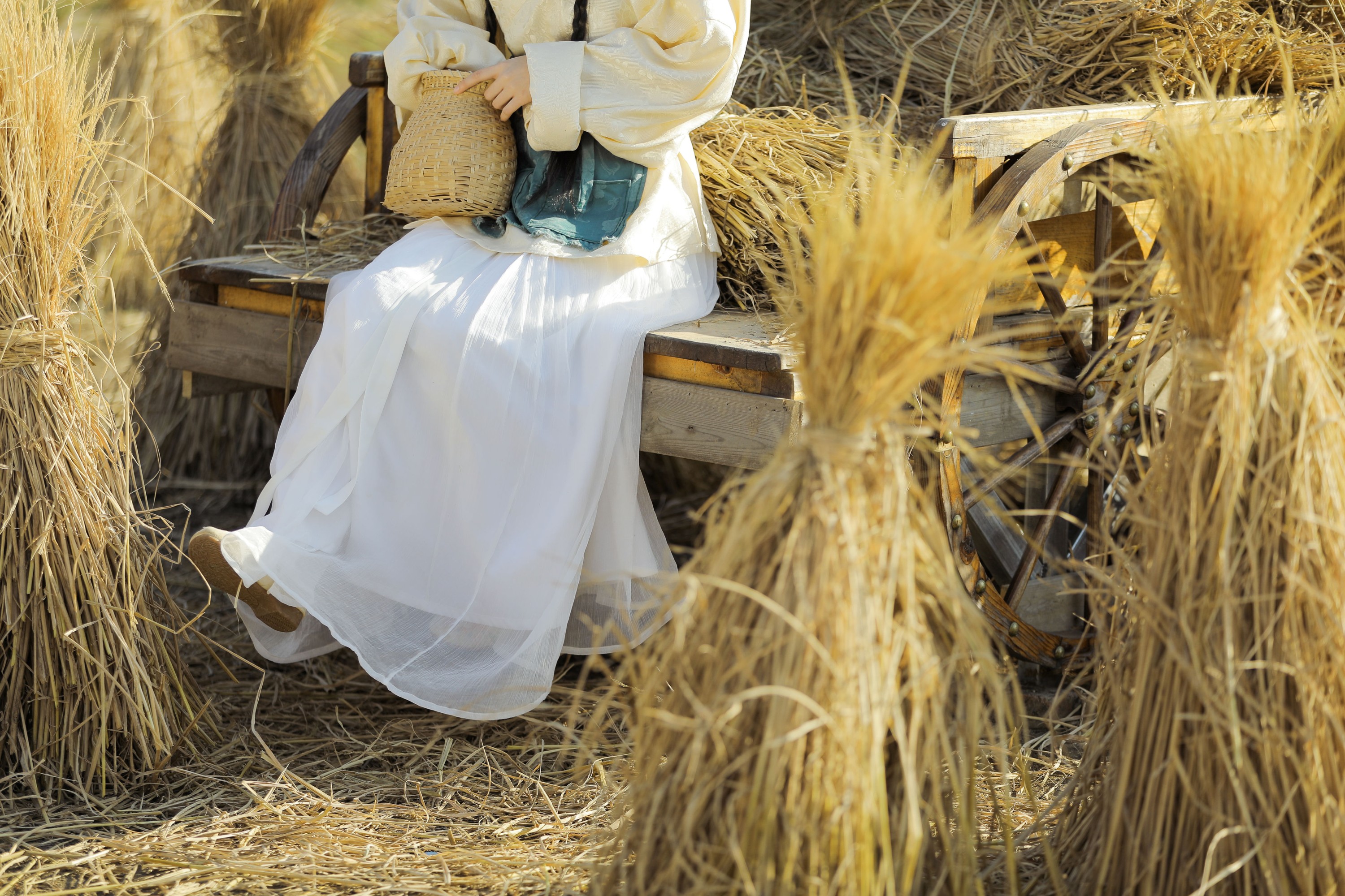 图片[5]-芝芝琪 – 《芒种》[22P]-COS写真在线网