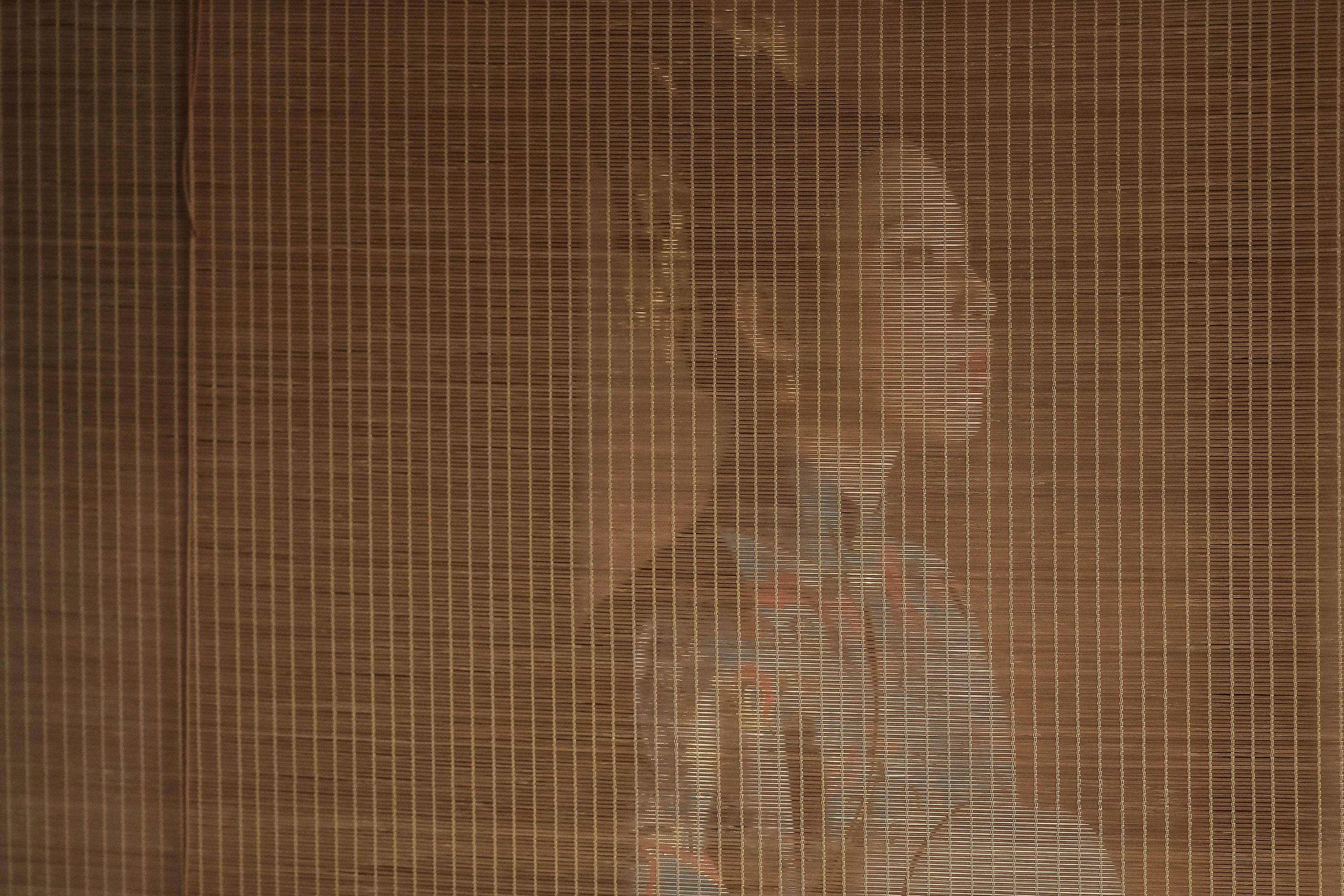 图片[6]-_喵喵家的小鱼干_ – 《庭院深深深几许》[30P]-COS写真在线网