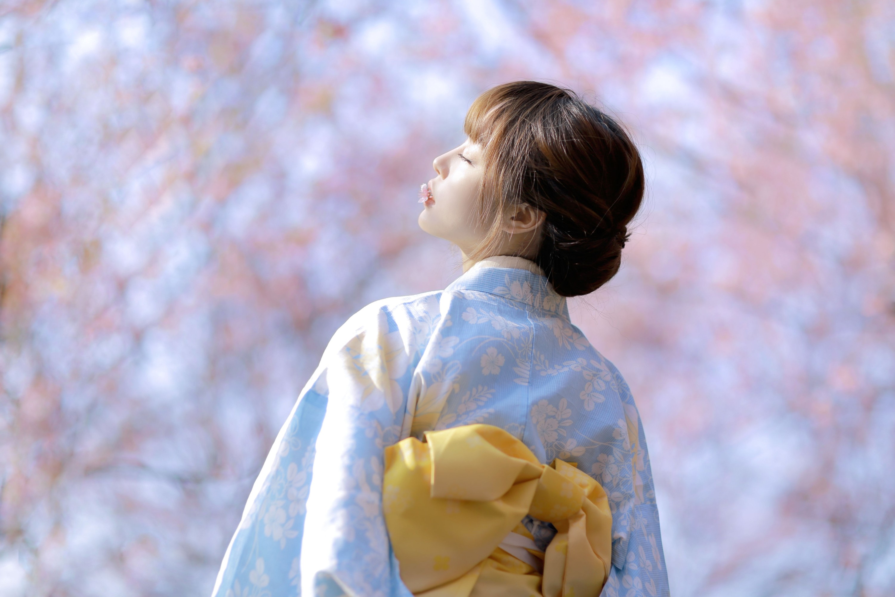 图片[6]-屈凌西 – 《樱花物语》[27P]-COS写真在线网