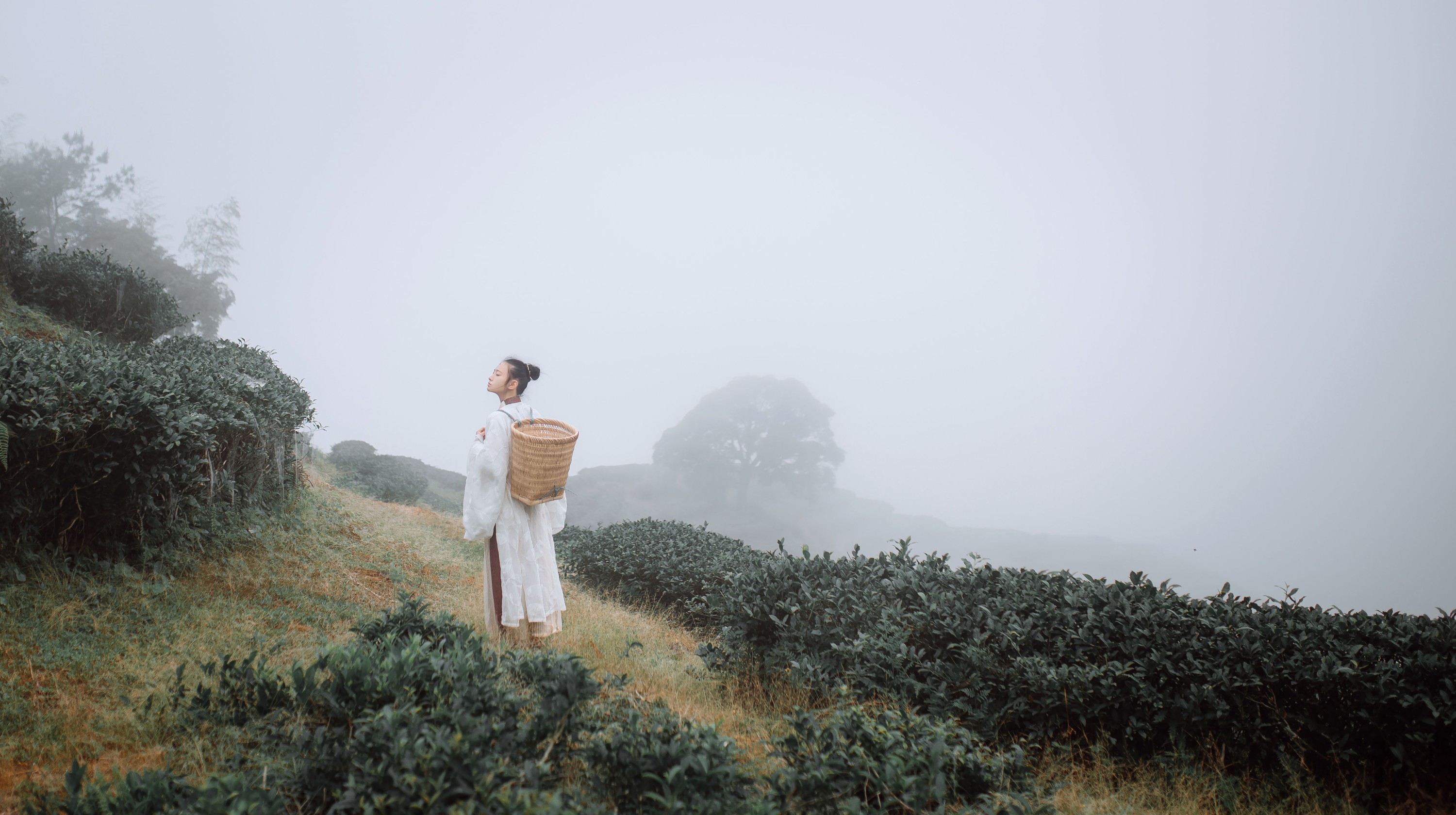 图片[6]-叶初婳 – 《采茶纪》[23P]-COS写真在线网