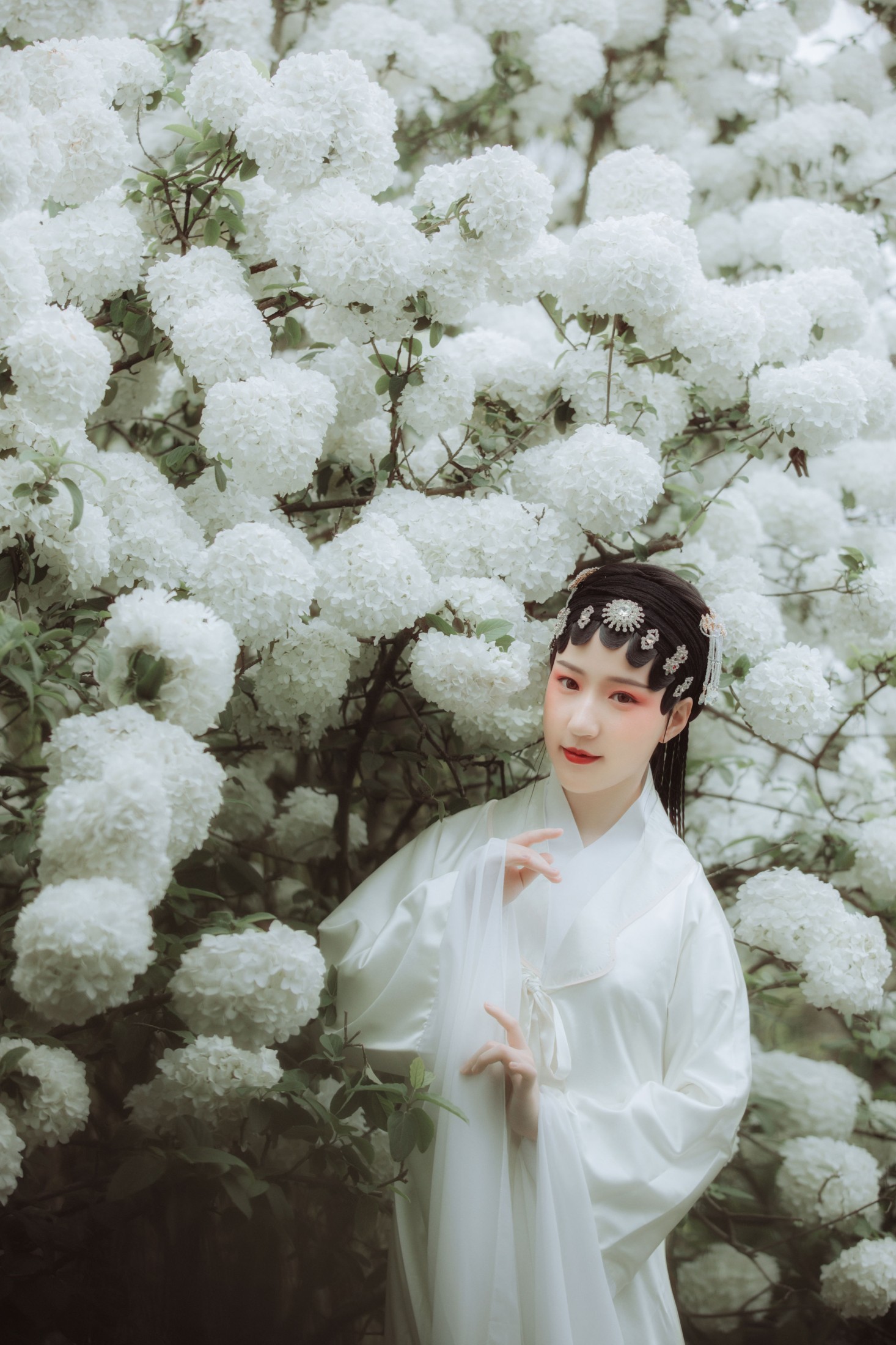 图片[6]-羊子bionergy-X – 《不入梨园》[25P]-COS写真在线网