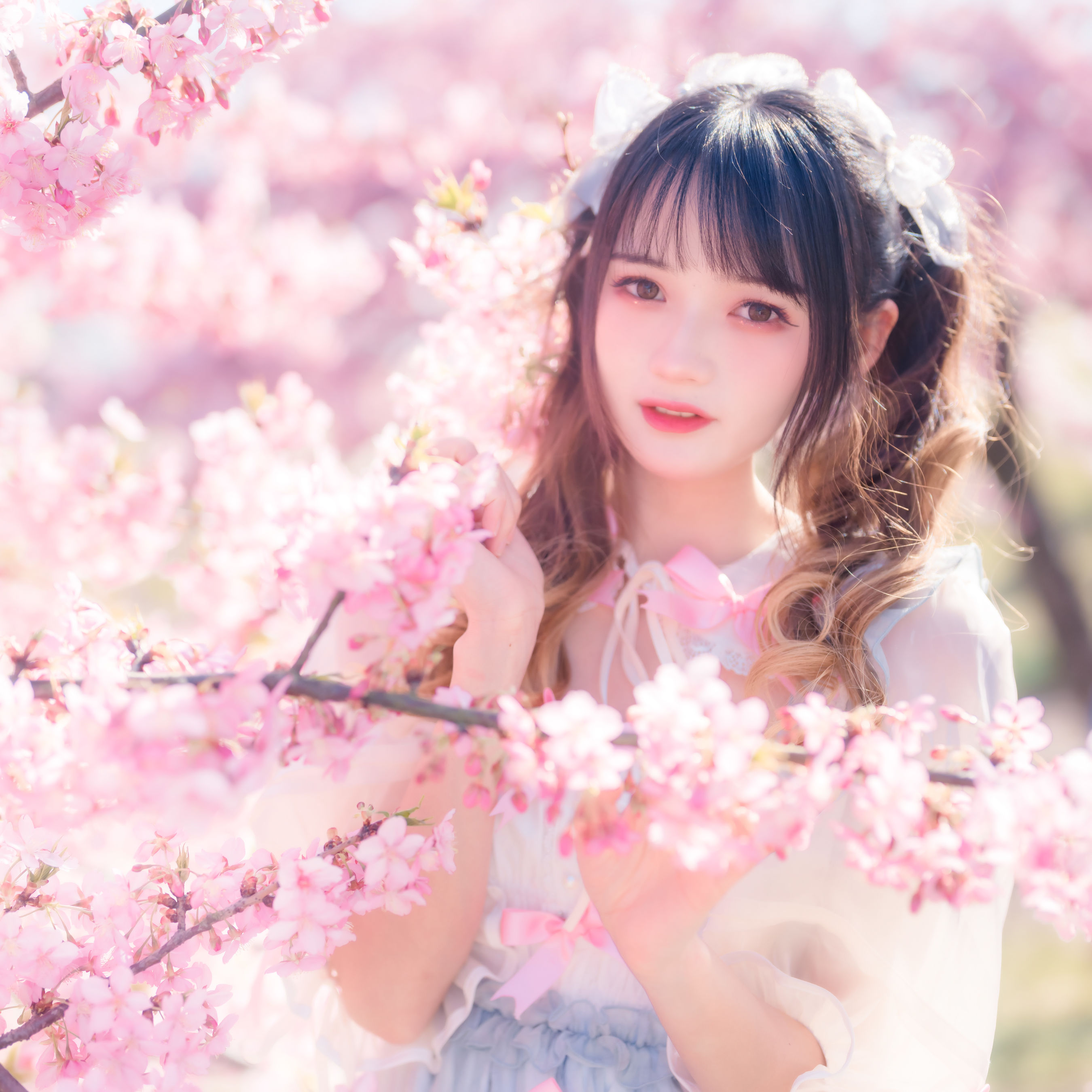 图片[4]-兔子Zzz不吃胡萝卜 – 《粉色春天》[24P]-COS写真在线网