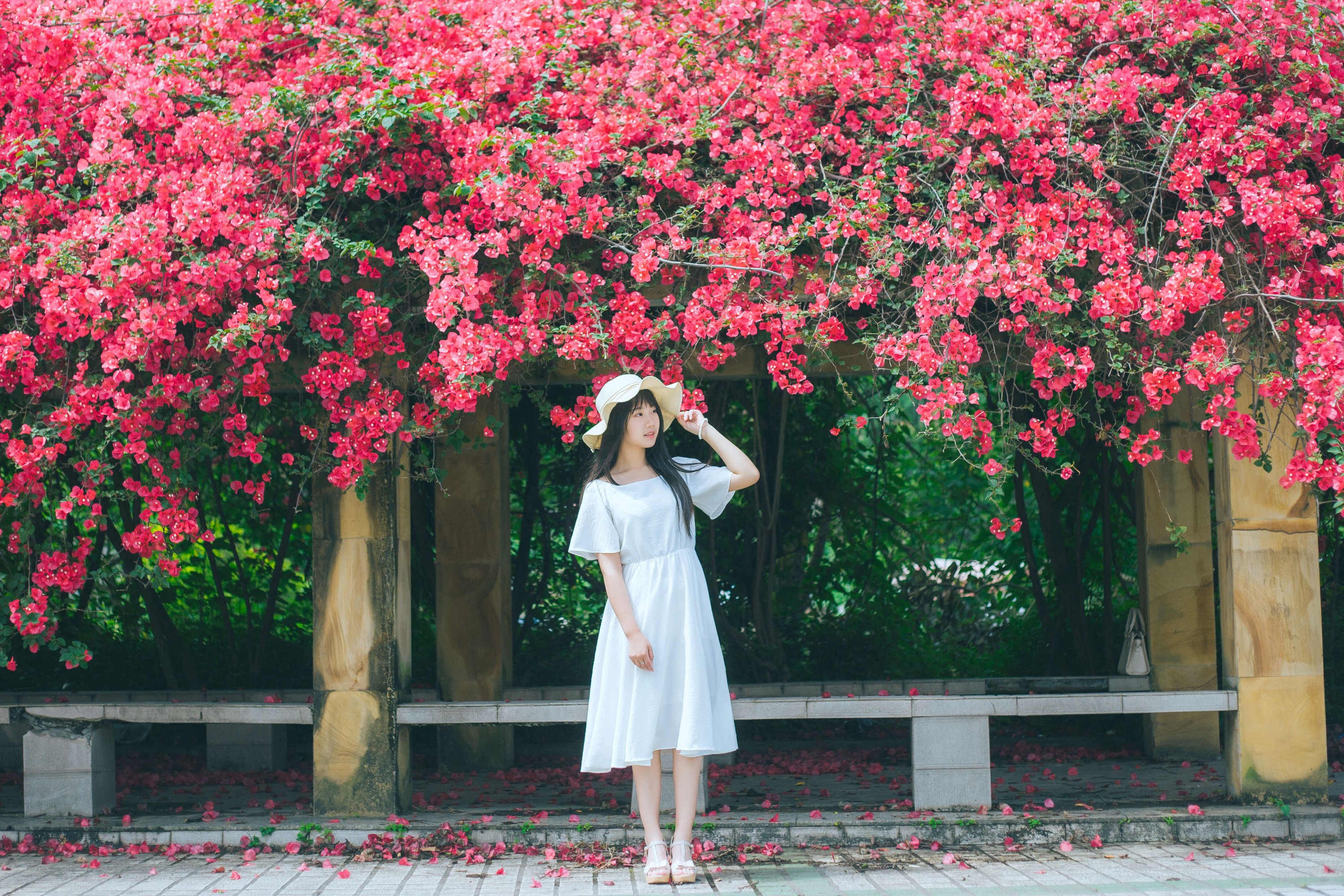 图片[3]-紫卿 – 《花和那姑娘》[23P]-COS写真在线网