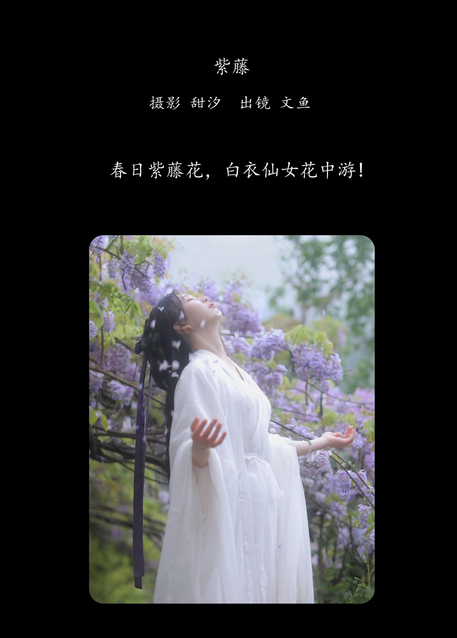文鱼 – 《紫藤》[25P] 插图2