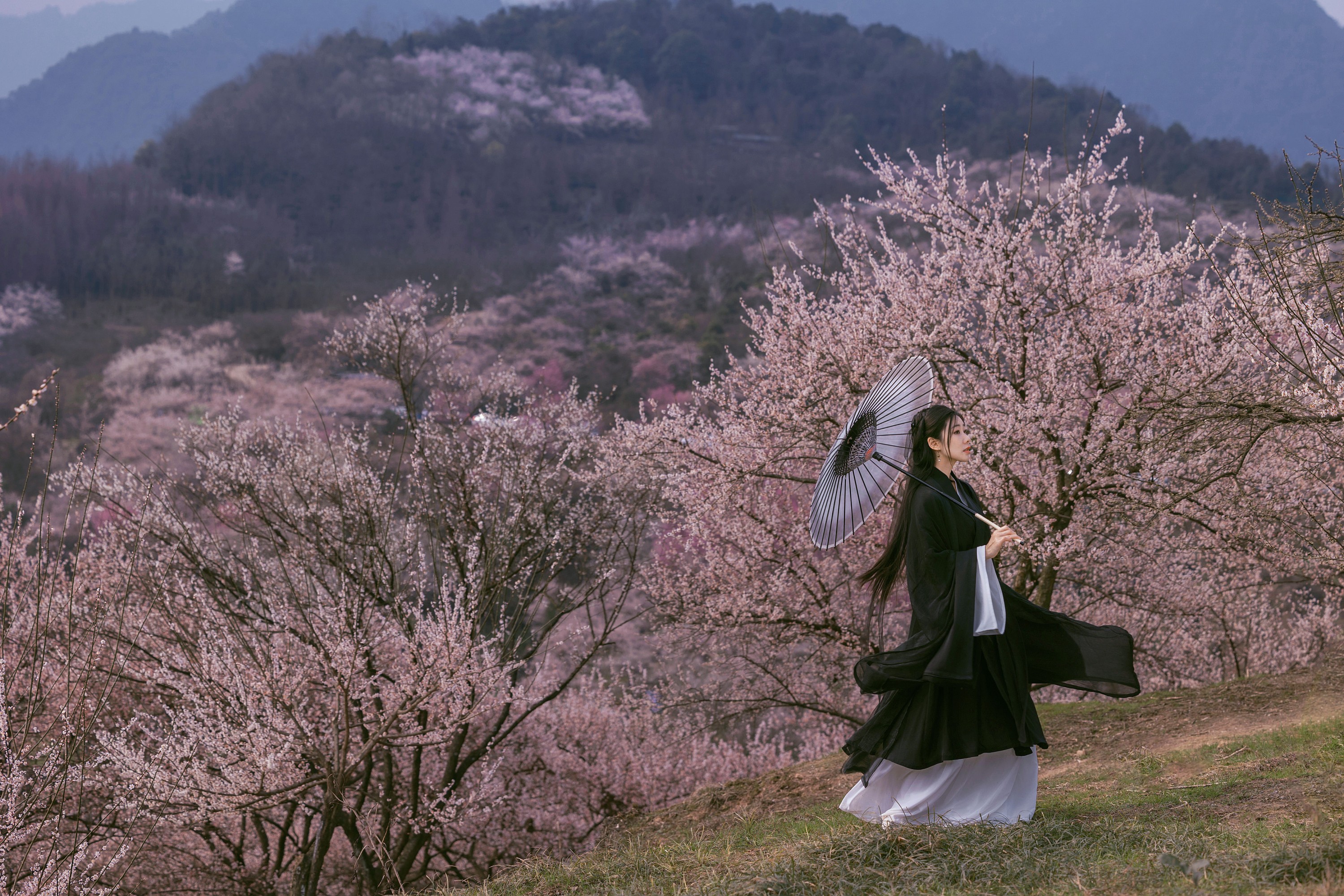 图片[6]-木哥 – 《樱花》[41P]-COS写真在线网