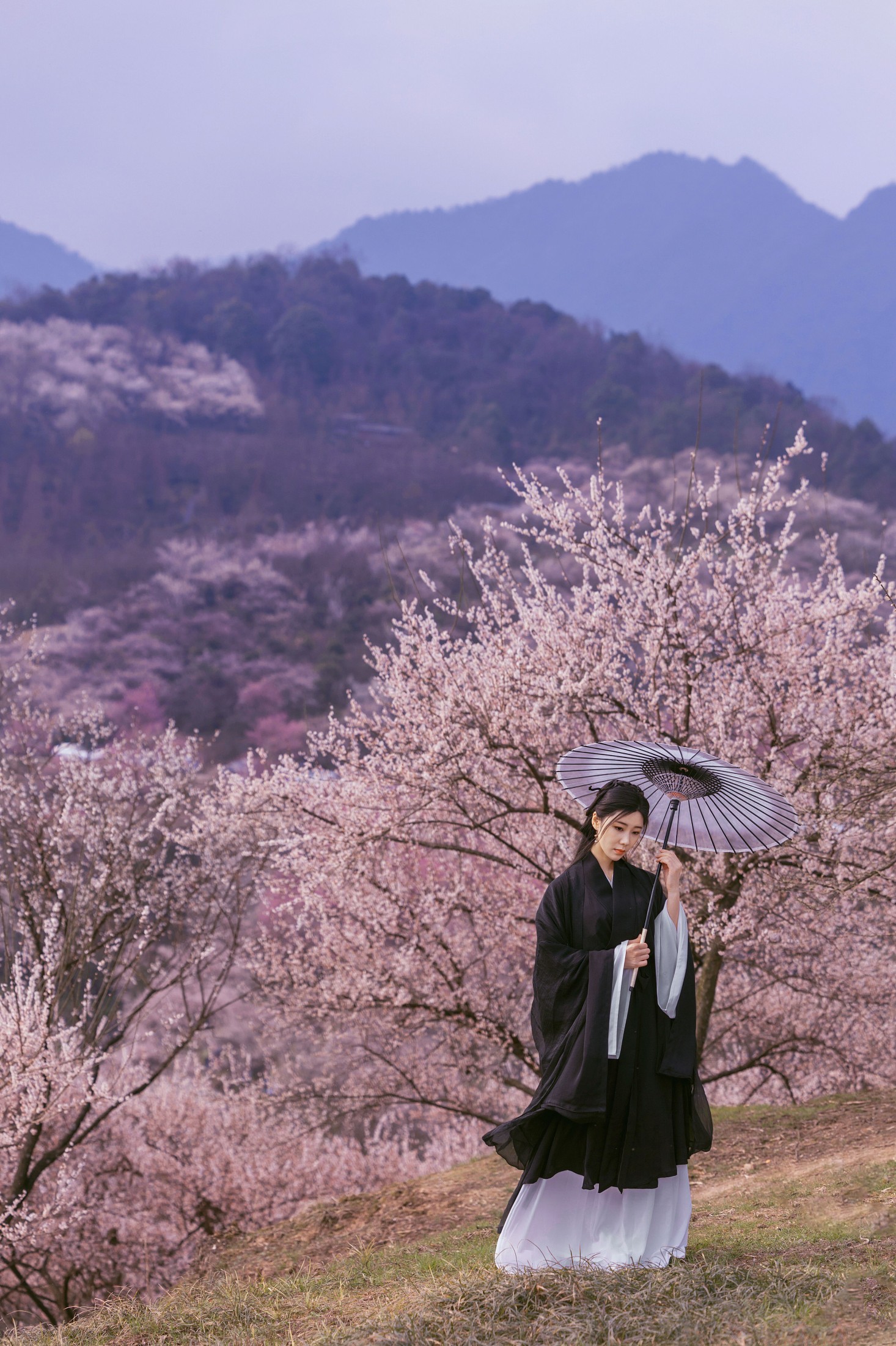 图片[5]-木哥 – 《樱花》[41P]-COS写真在线网