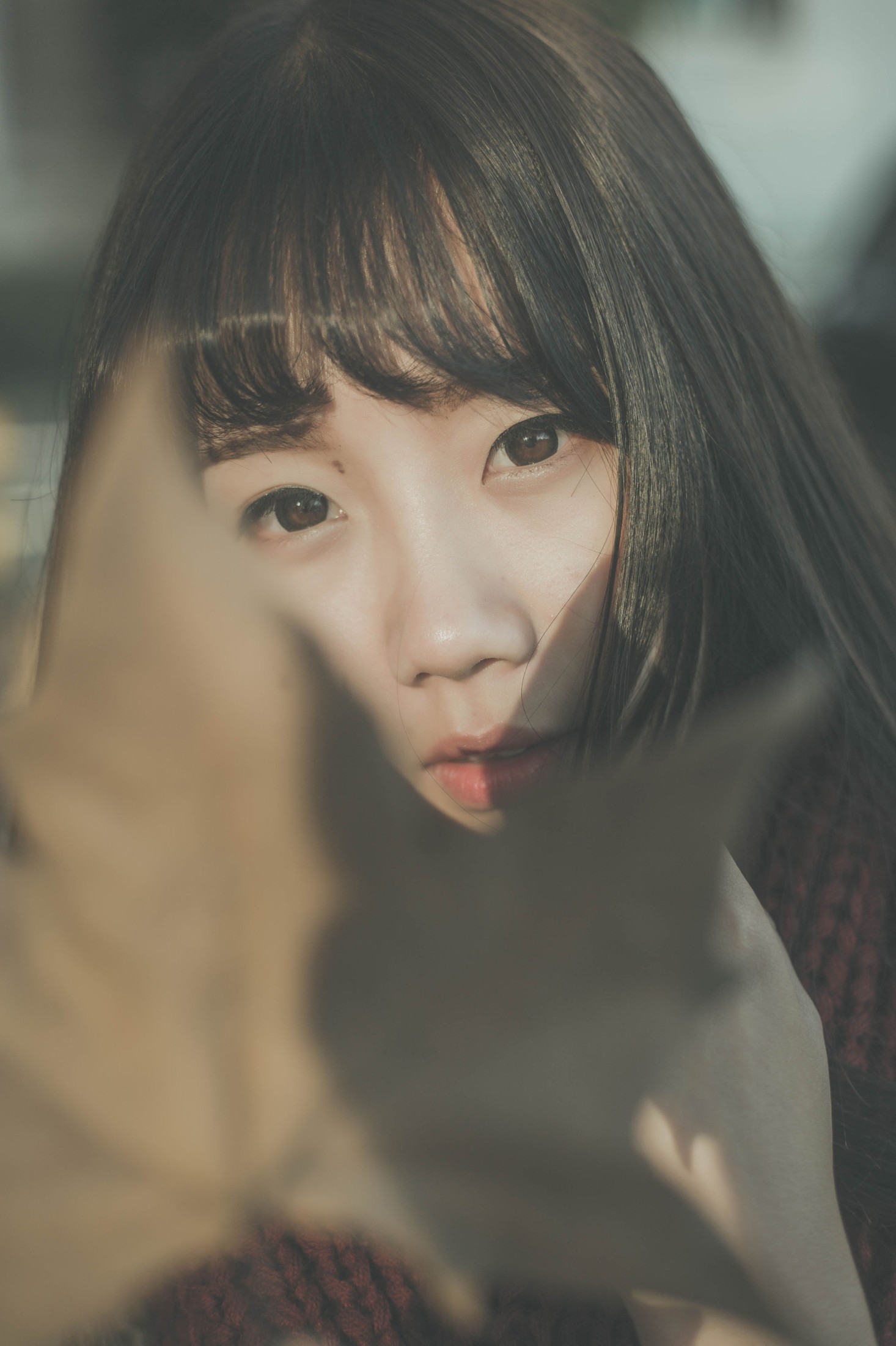 图片[3]-紫卿 – 《南国的冬》[26P]-COS写真在线网