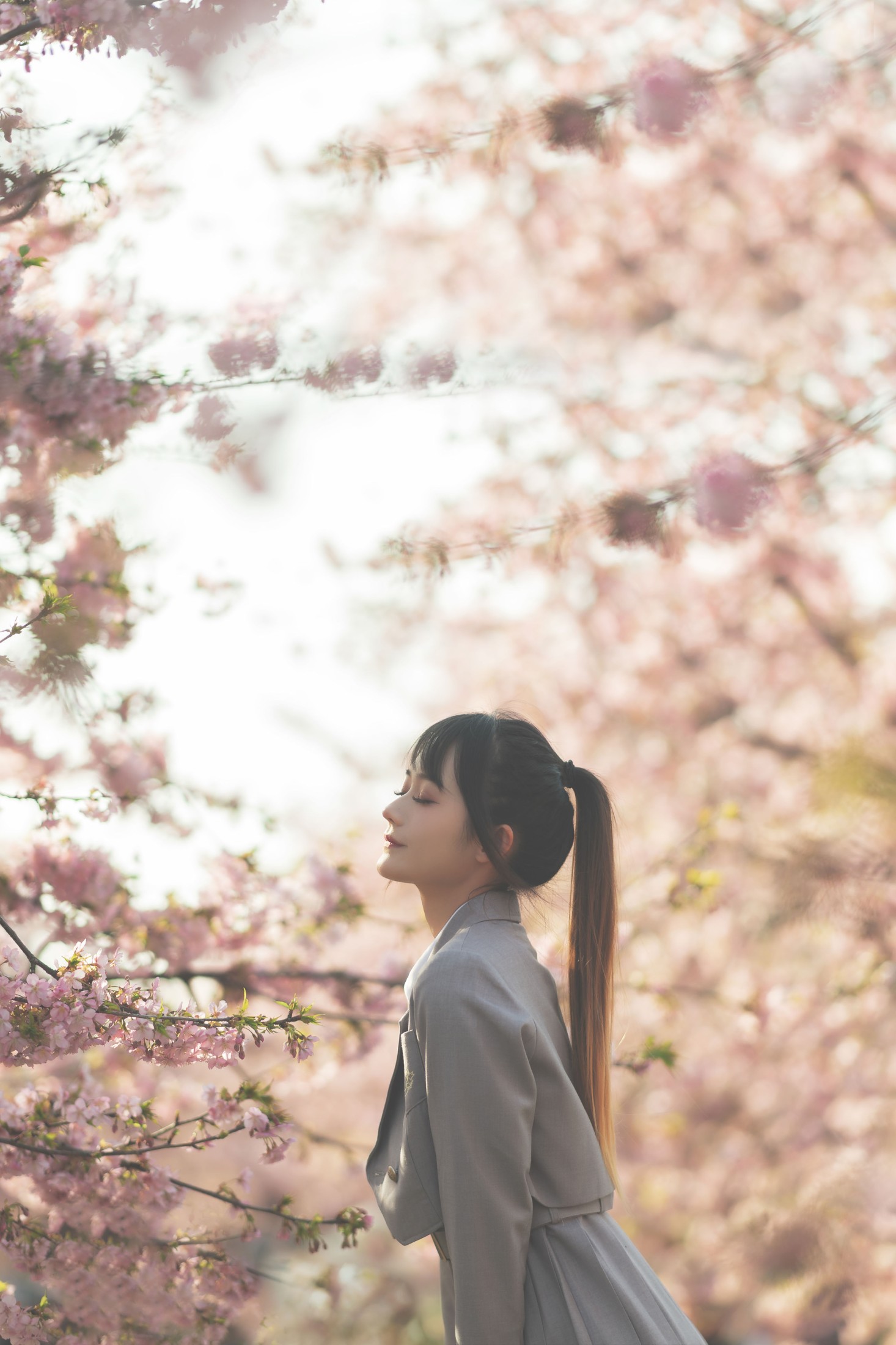 图片[3]-兔子Zzz不吃胡萝卜 – 《樱之声》[27P]-COS写真在线网