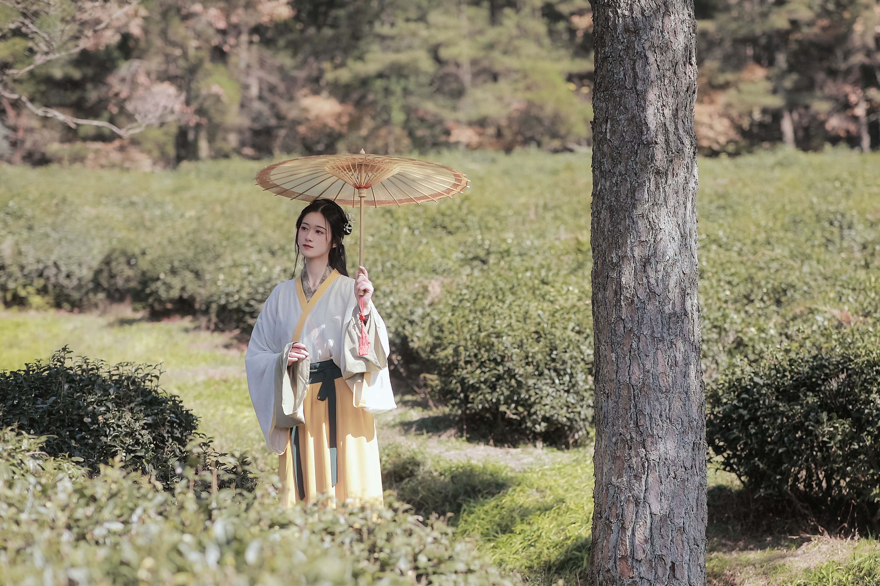 图片[6]-之楠楠楠 – 《采茶女》[22P]-COS写真在线网