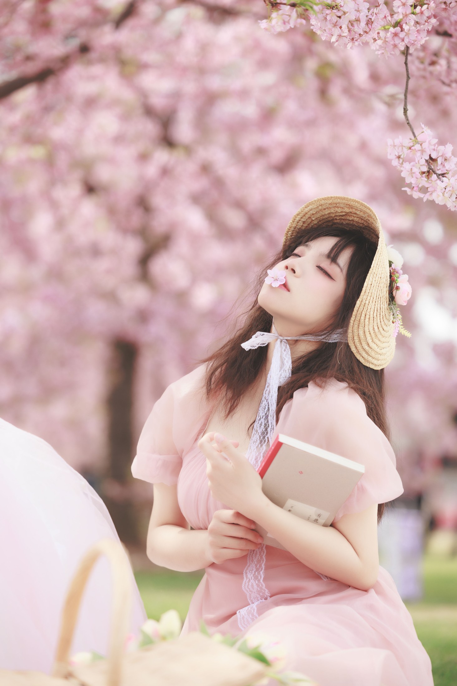 图片[4]-贰加六 – 《樱之浪漫》[24P]-COS写真在线网