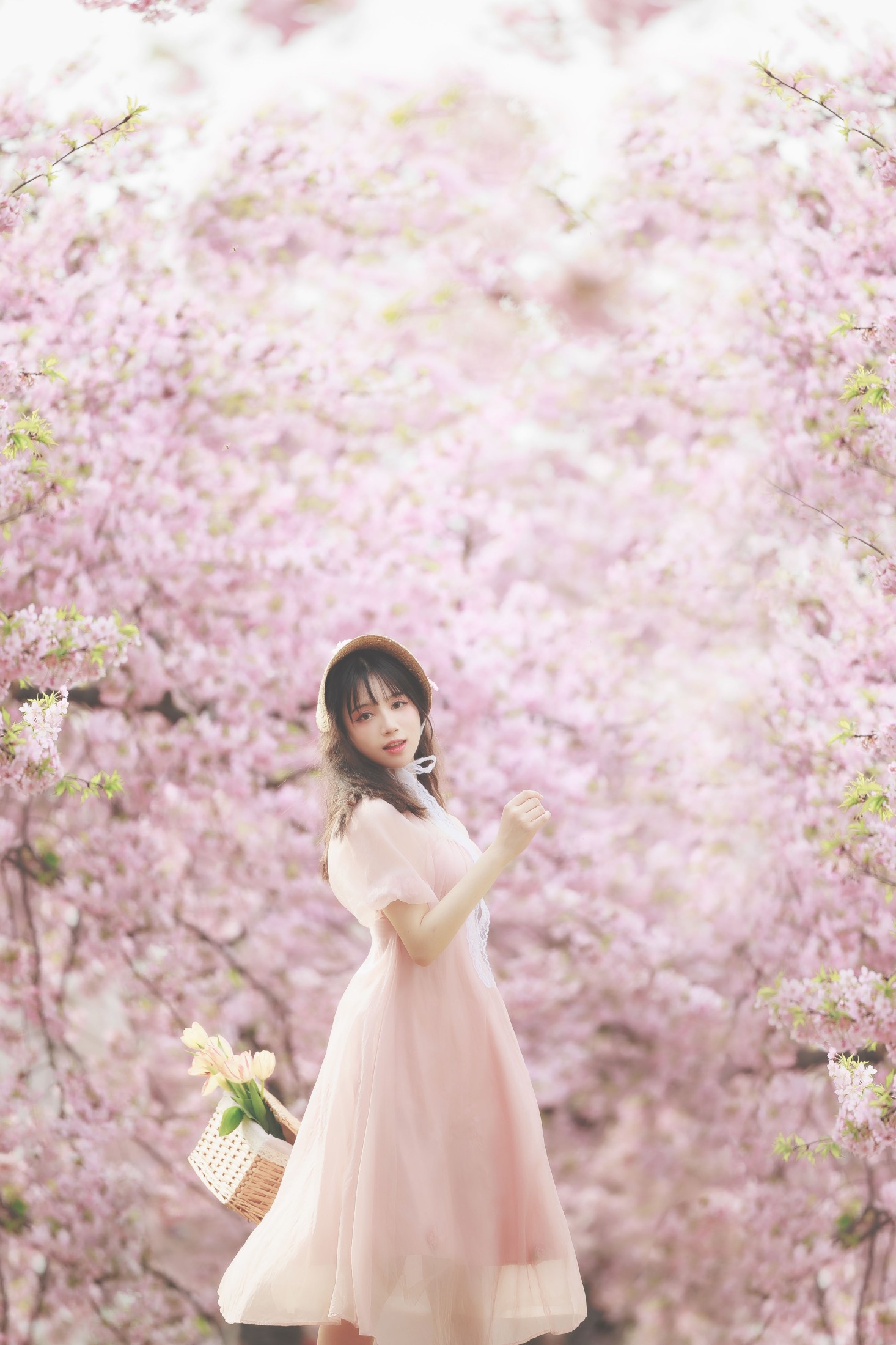 图片[5]-贰加六 – 《樱之浪漫》[24P]-COS写真在线网