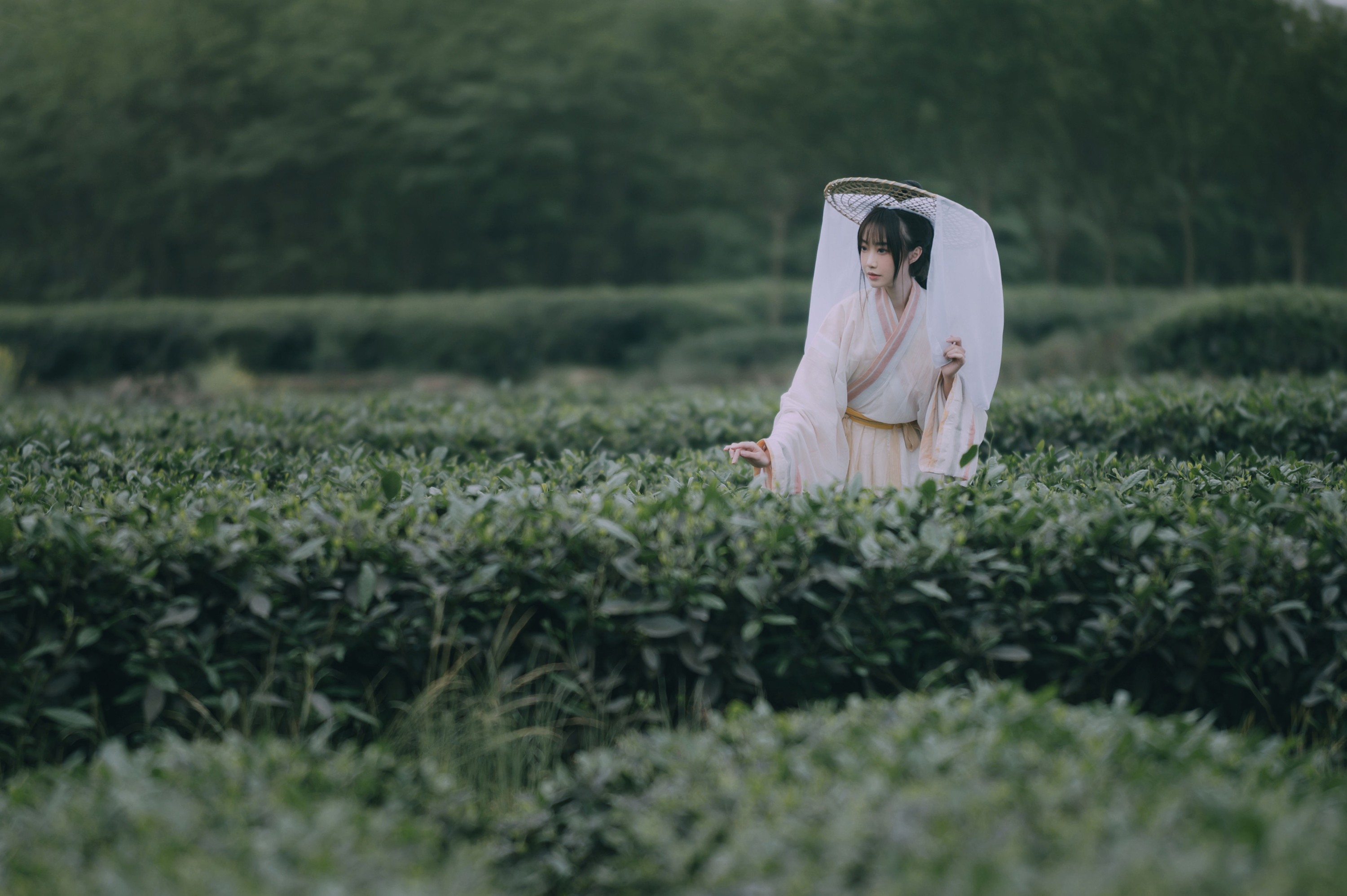 图片[6]-蹭饭 – 《采茶东篱下》[20P]-COS写真在线网