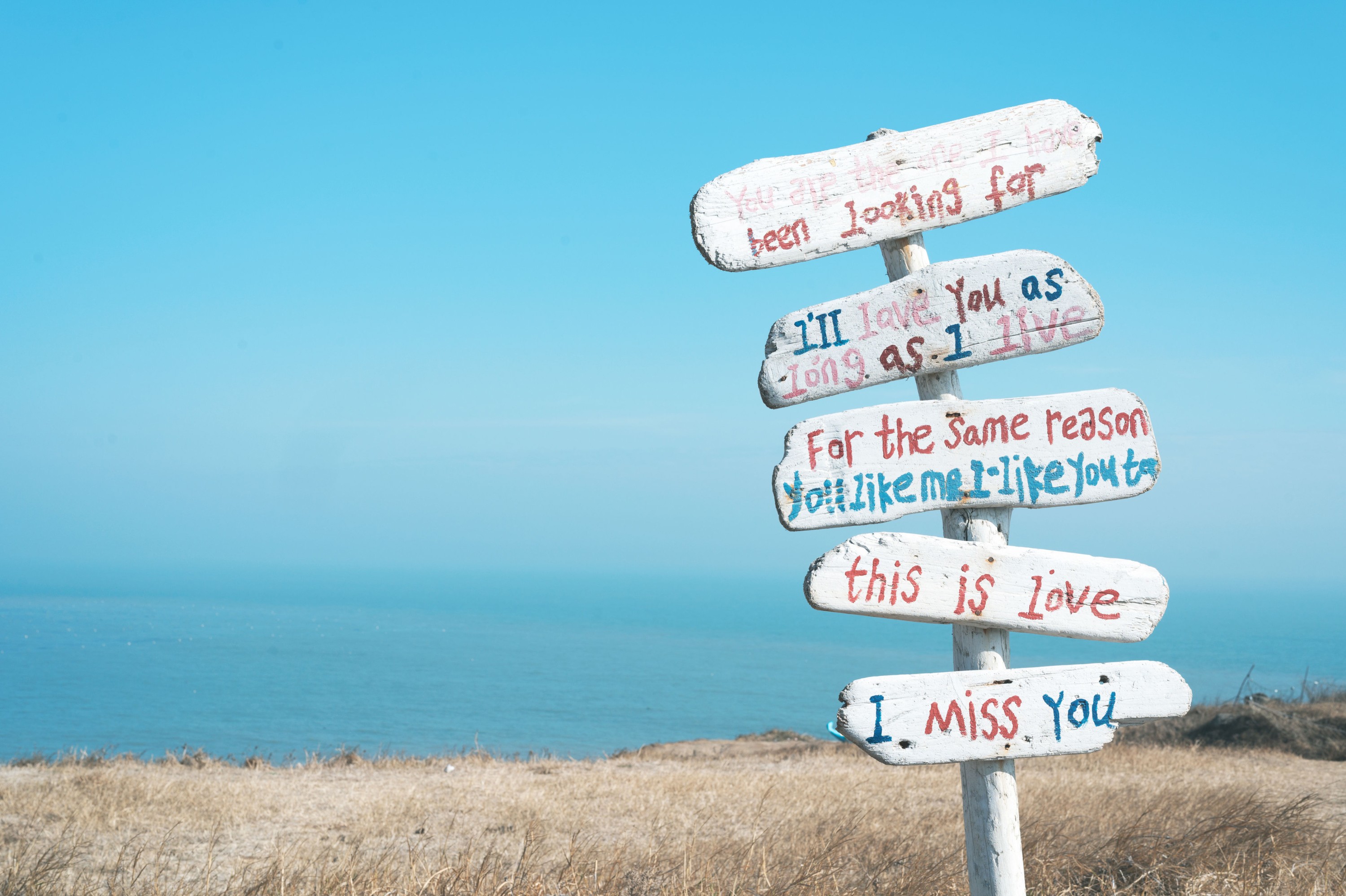 图片[4]-兔子Zzz不吃胡萝卜 – 《奔向海角》[25P]-COS写真在线网