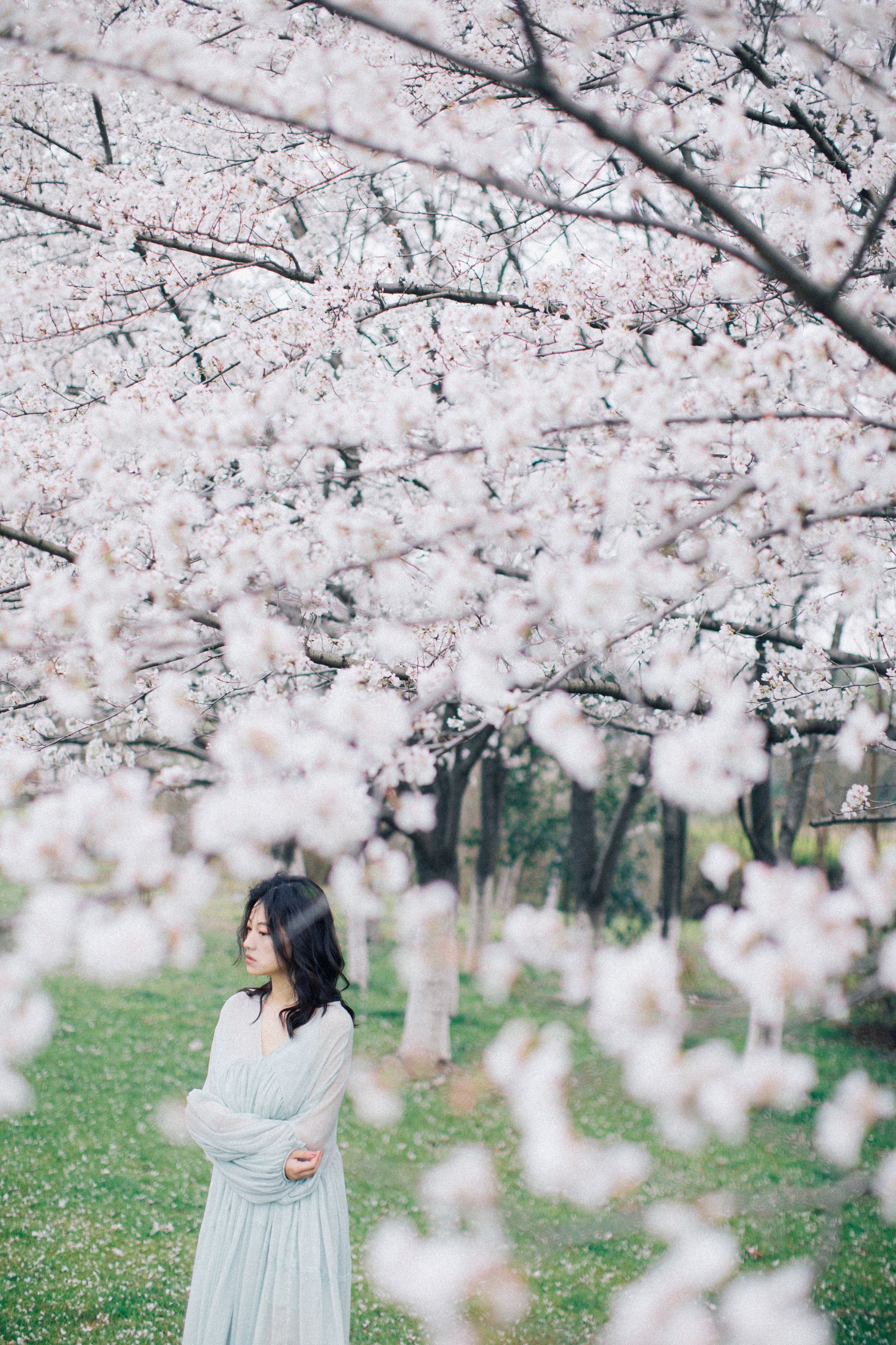 图片[6]-九月 – 《落樱缤纷》[28P]-COS写真在线网