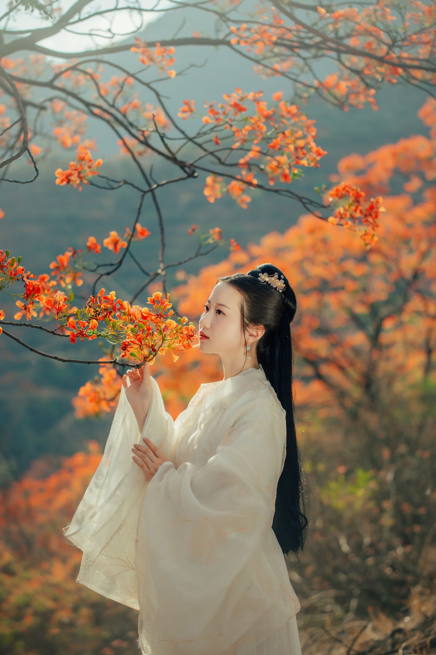 图片[6]-粥米饭 – 《凤凰花开》[26P]-COS写真在线网