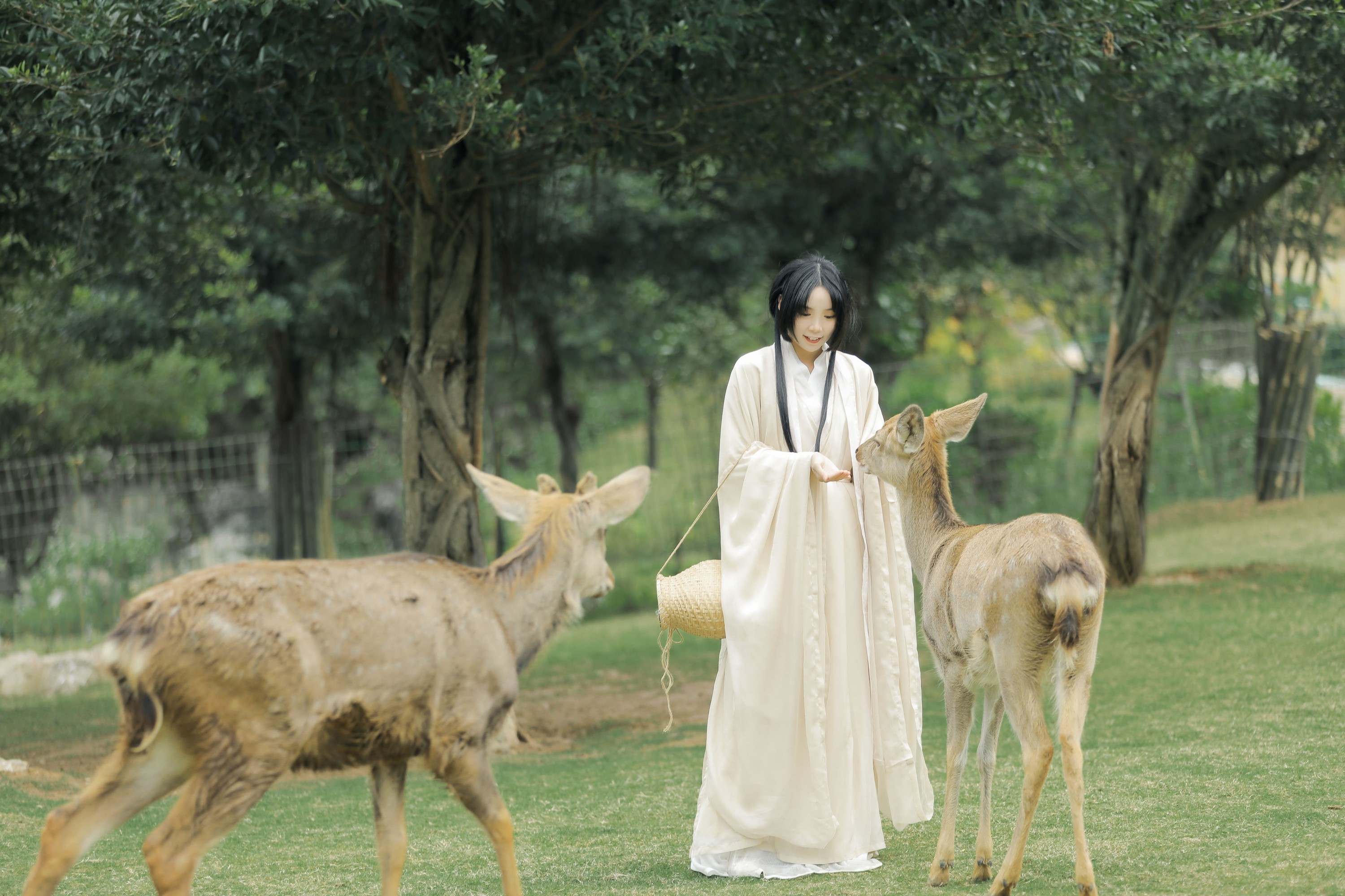 图片[6]-槐枝- – 《鹿鸣》[27P]-COS写真在线网