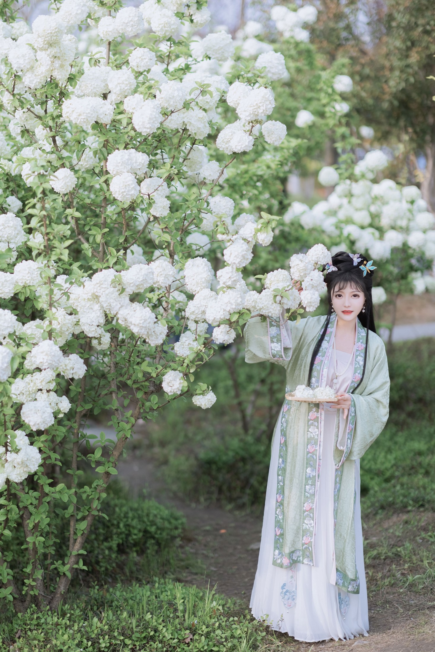 图片[6]-璐璐haley – 《探春》[42P]-COS写真在线网