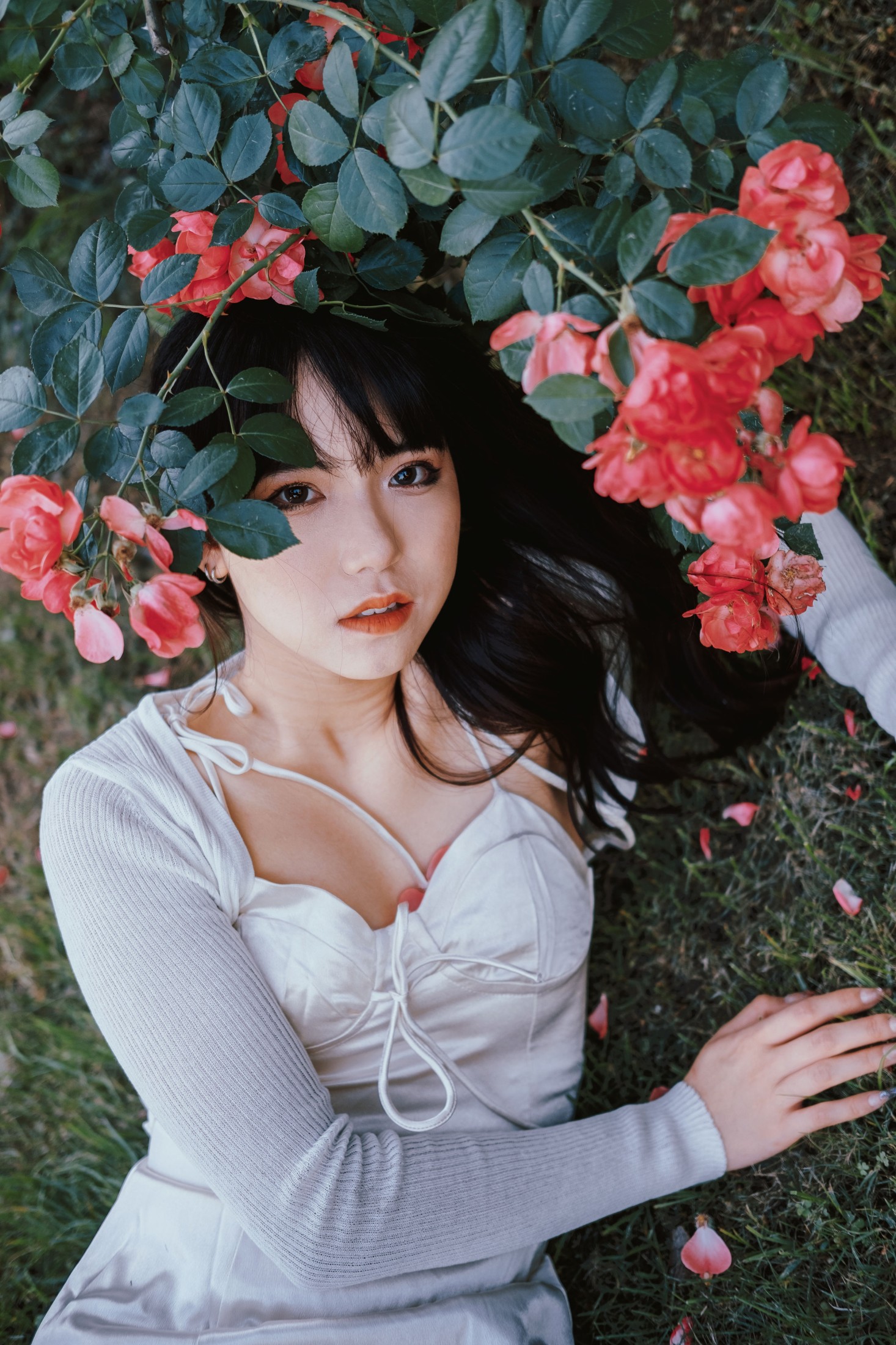 图片[3]-依依 – 《蔷薇花下》[25P]-COS写真在线网