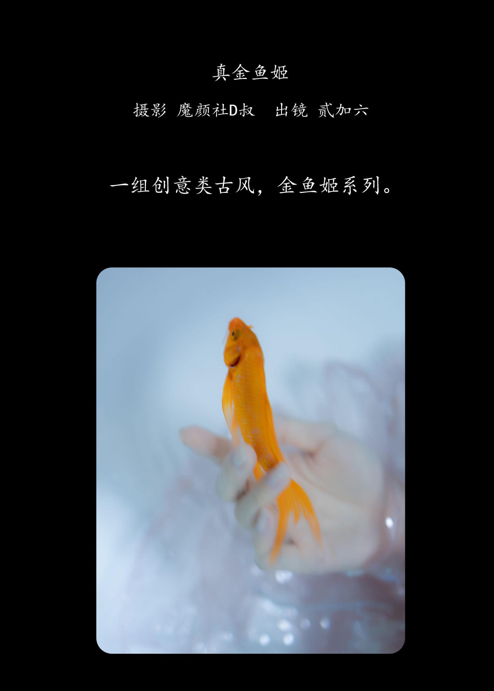 图片[2]-贰加六 – 《真金鱼姬》[28P]-COS写真在线网