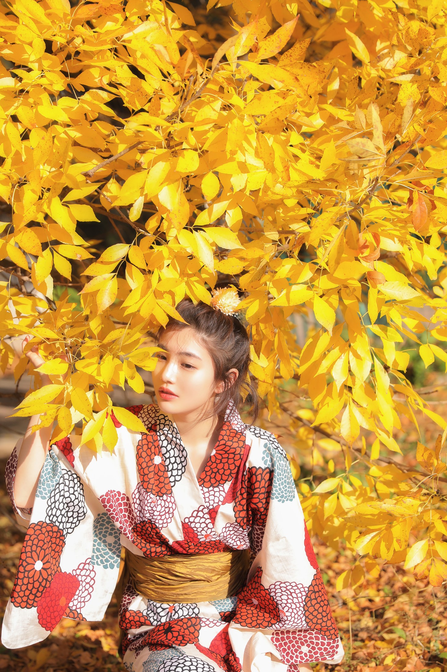 图片[3]-凡凡 – 《京都约定》[24P]-COS写真在线网