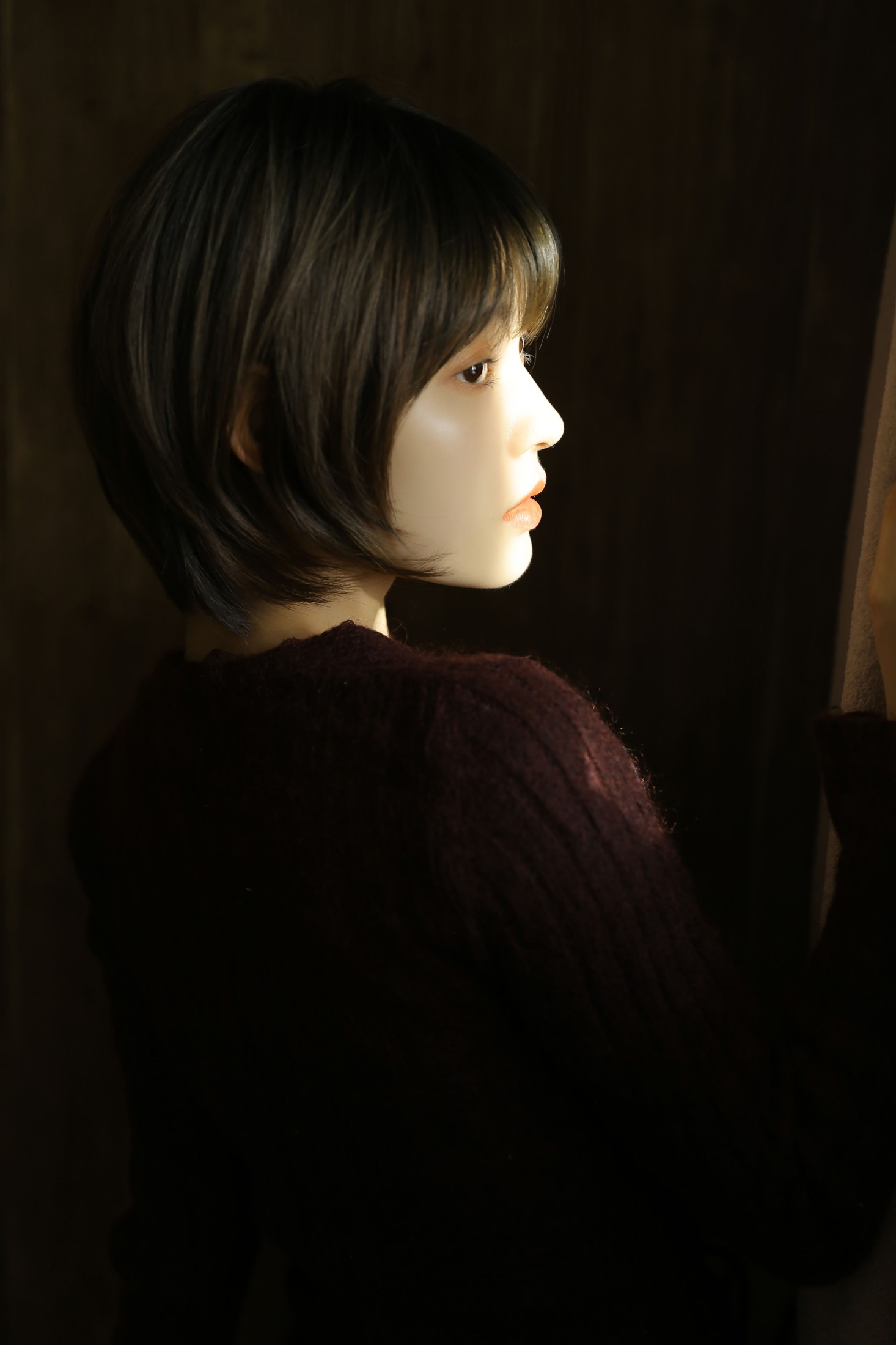 子羲_sissi – 《我对这人间 也爱也怀疑》[29P] 插图3