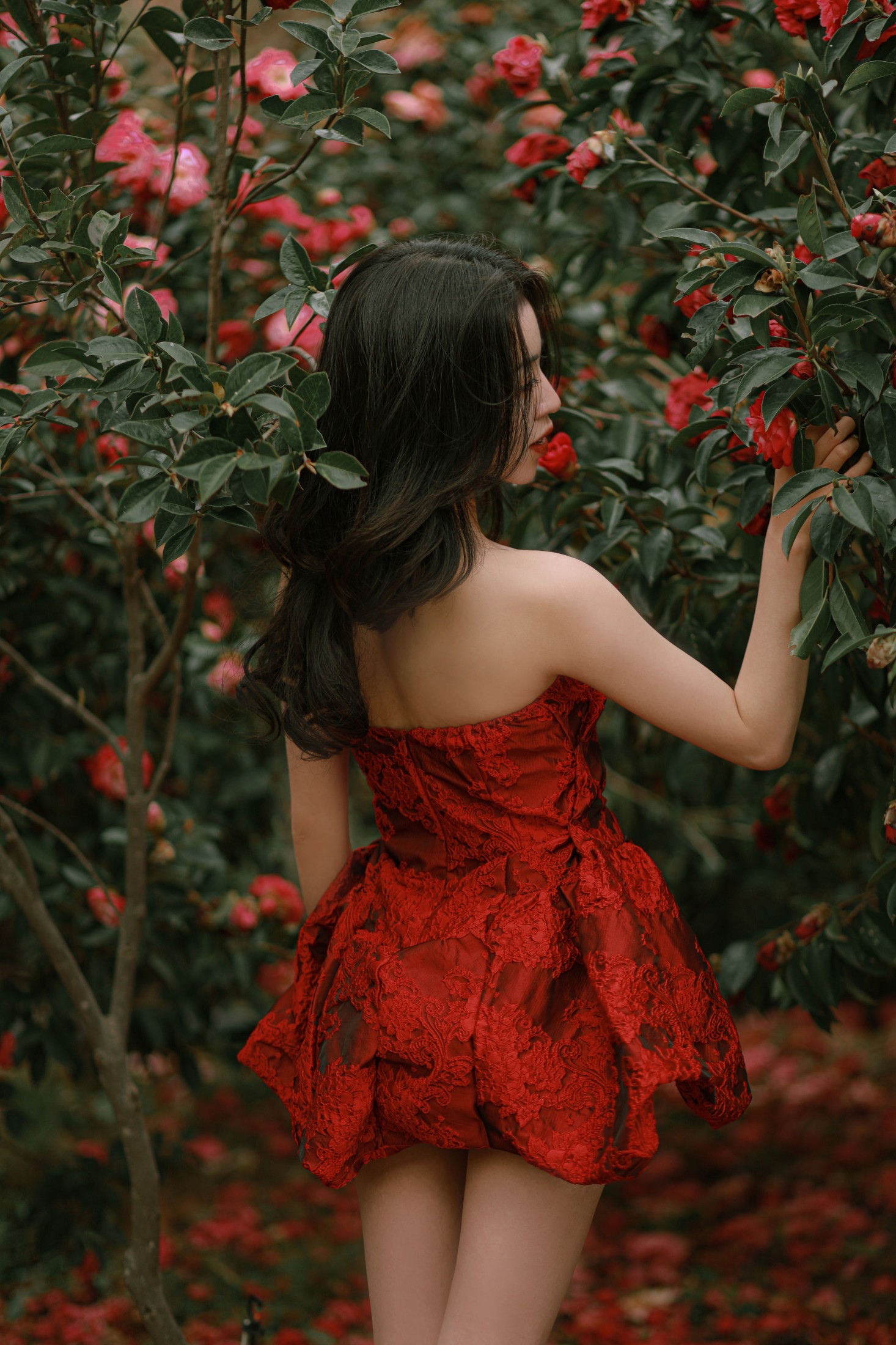 图片[6]-卖恐龙的小红薯 – 《落红》[47P]-COS写真在线网