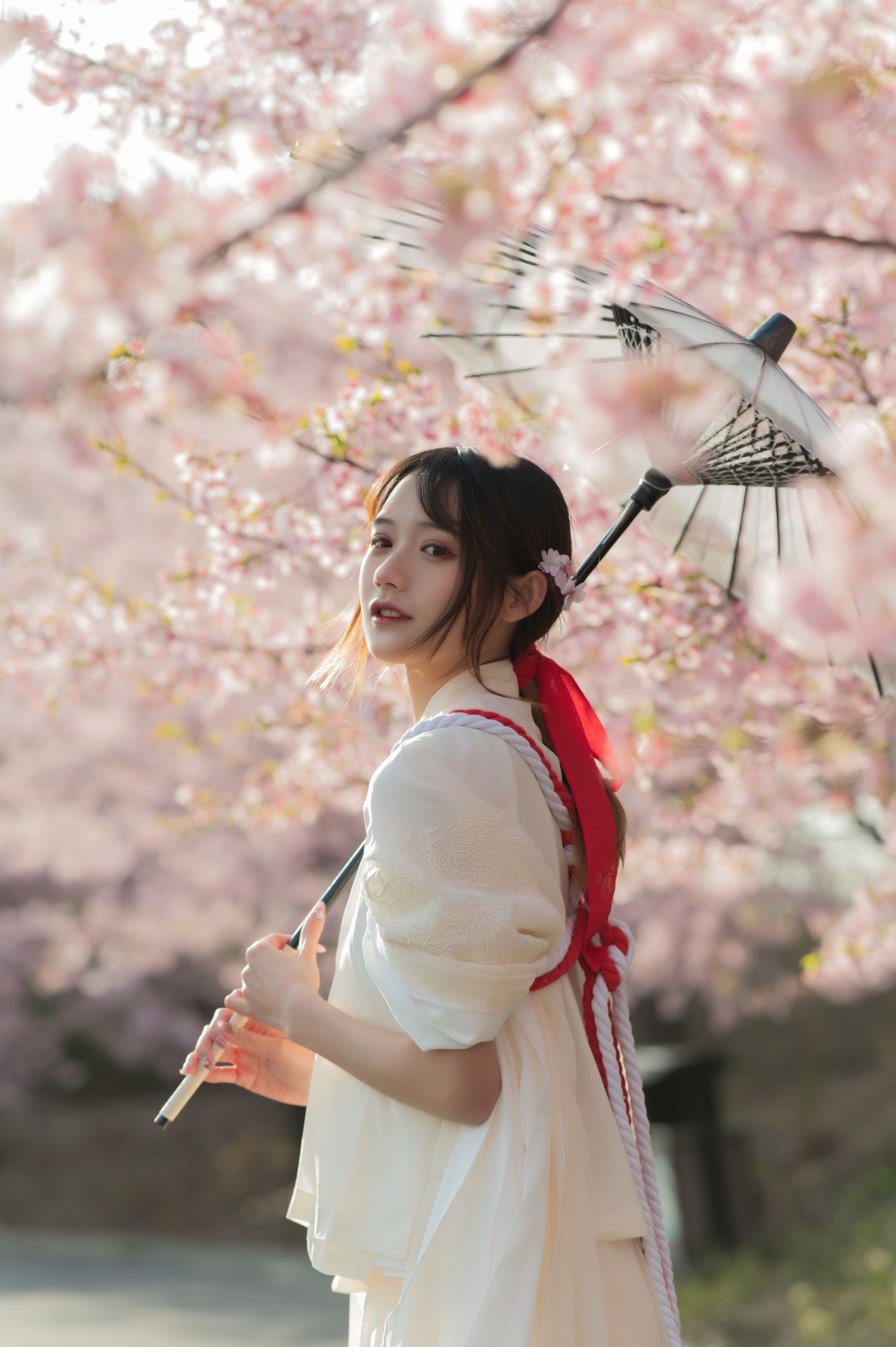 图片[6]-兔子Zzz不吃胡萝卜 – 《樱语》[28P]-COS写真在线网