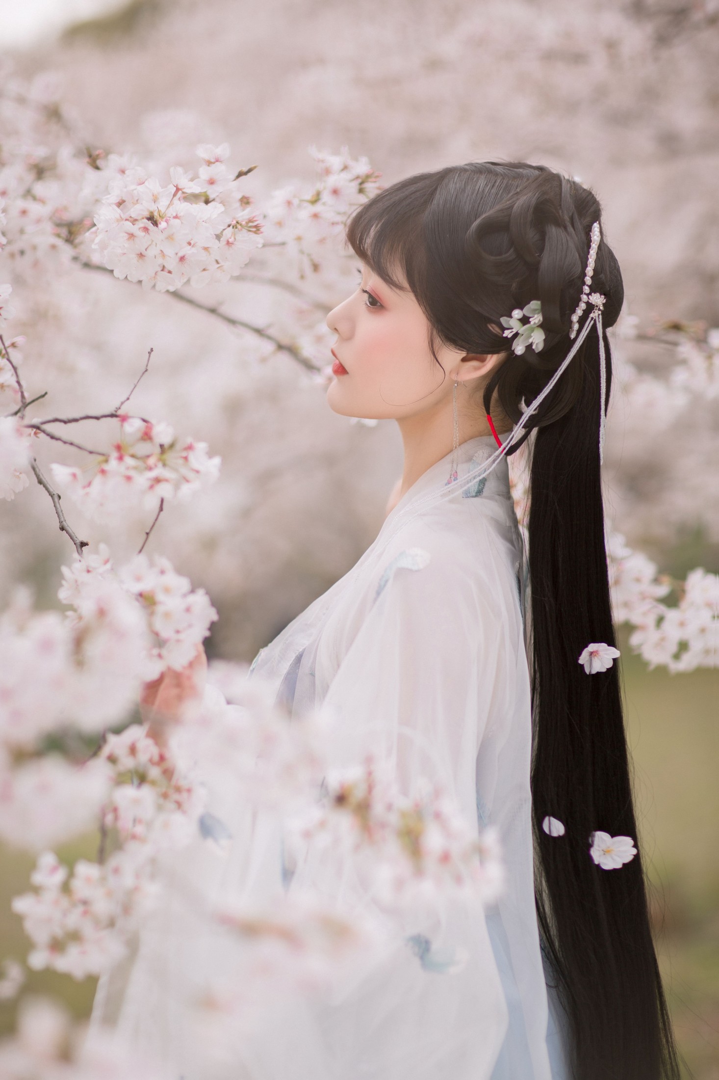 图片[6]-只喝奶盖 – 《樱》[21P]-COS写真在线网