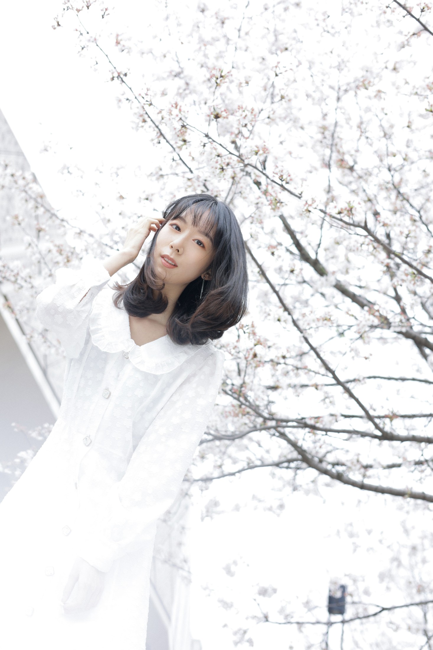 孟商一 – 《白色花语》[26P] 插图3