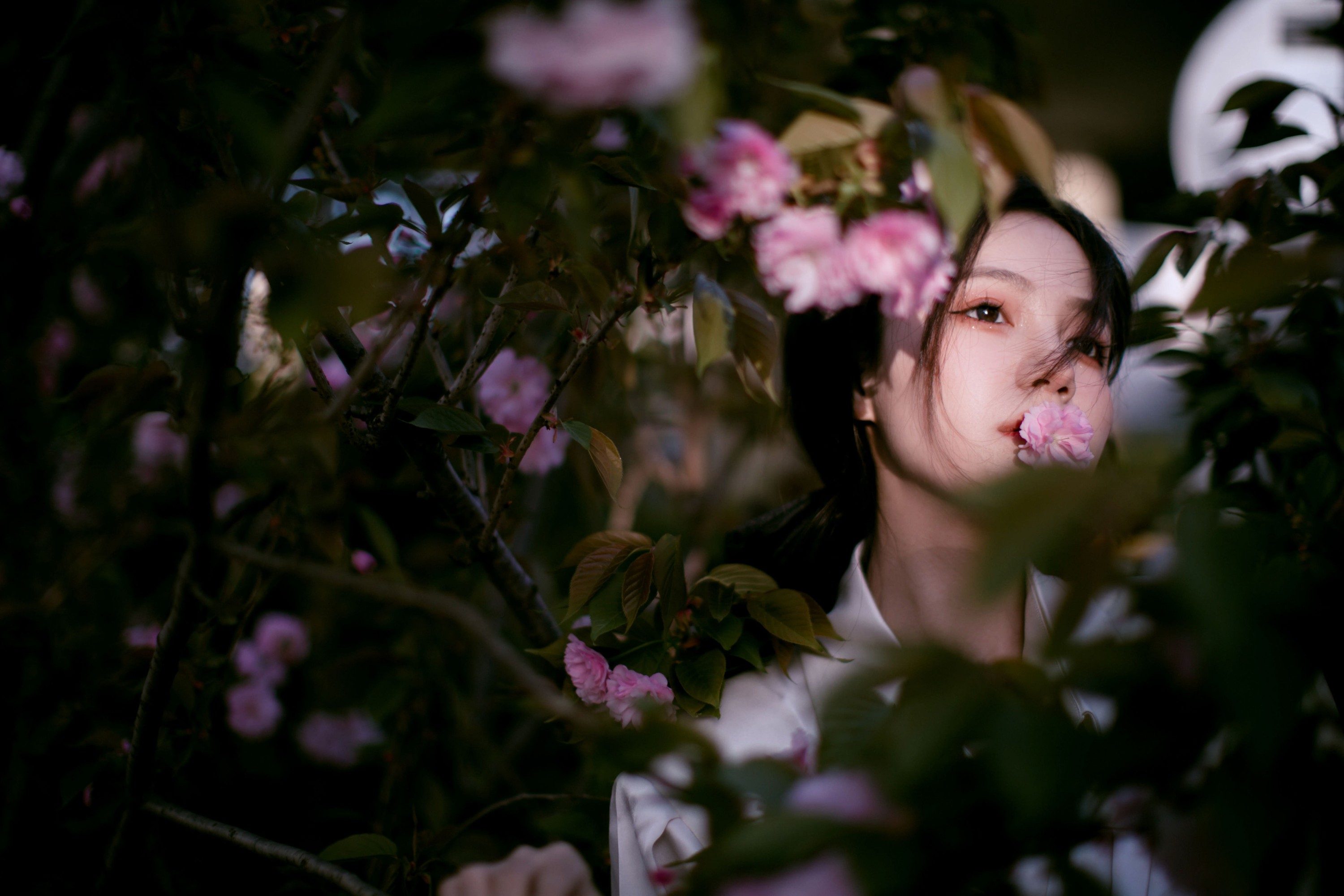 图片[6]-夏芸是只小考拉 – 《花宴》[22P]-COS写真在线网