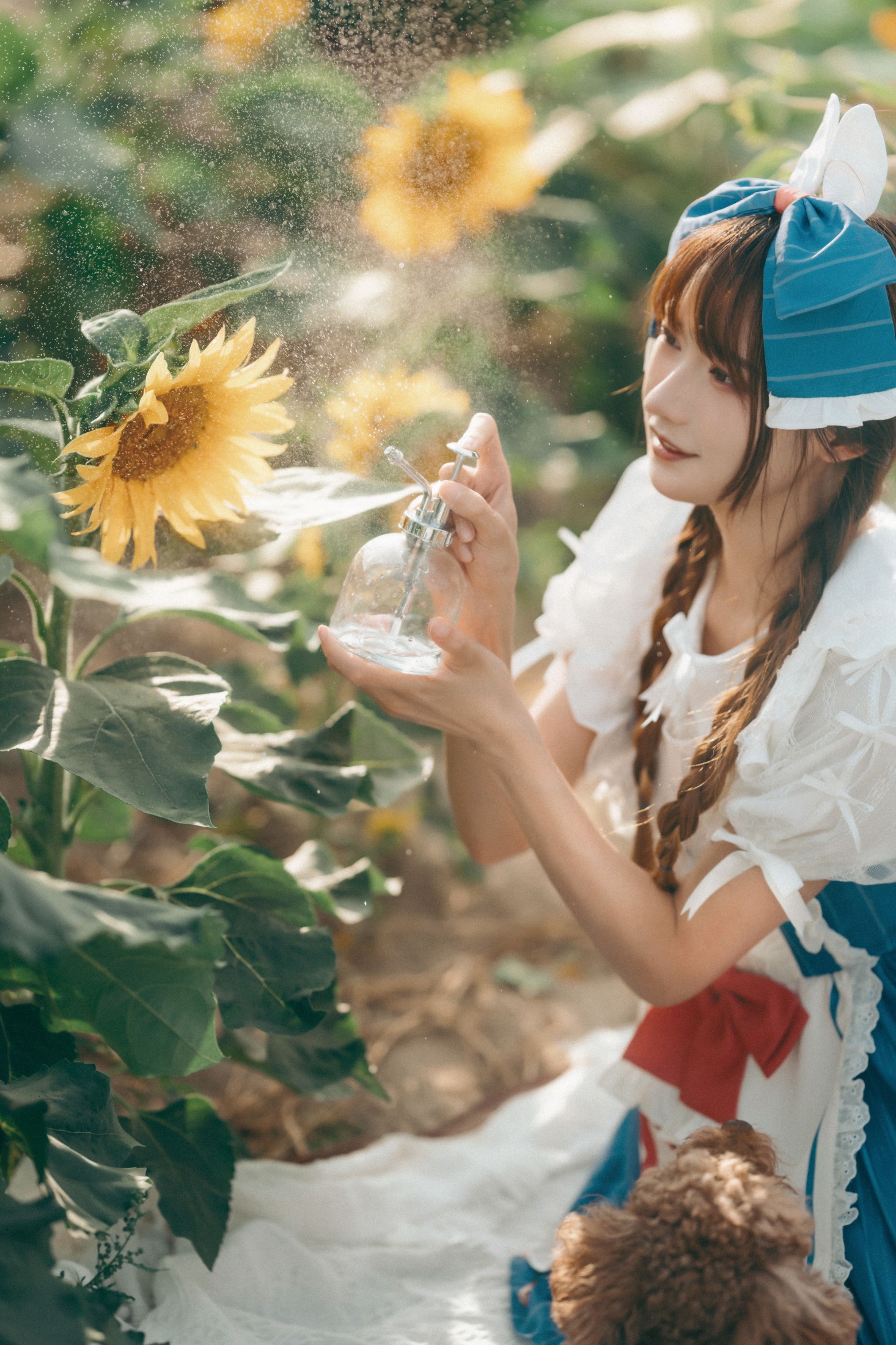 图片[4]-兔子Zzz不吃胡萝卜 – 《甜甜向日葵女孩》[32P]-COS写真在线网