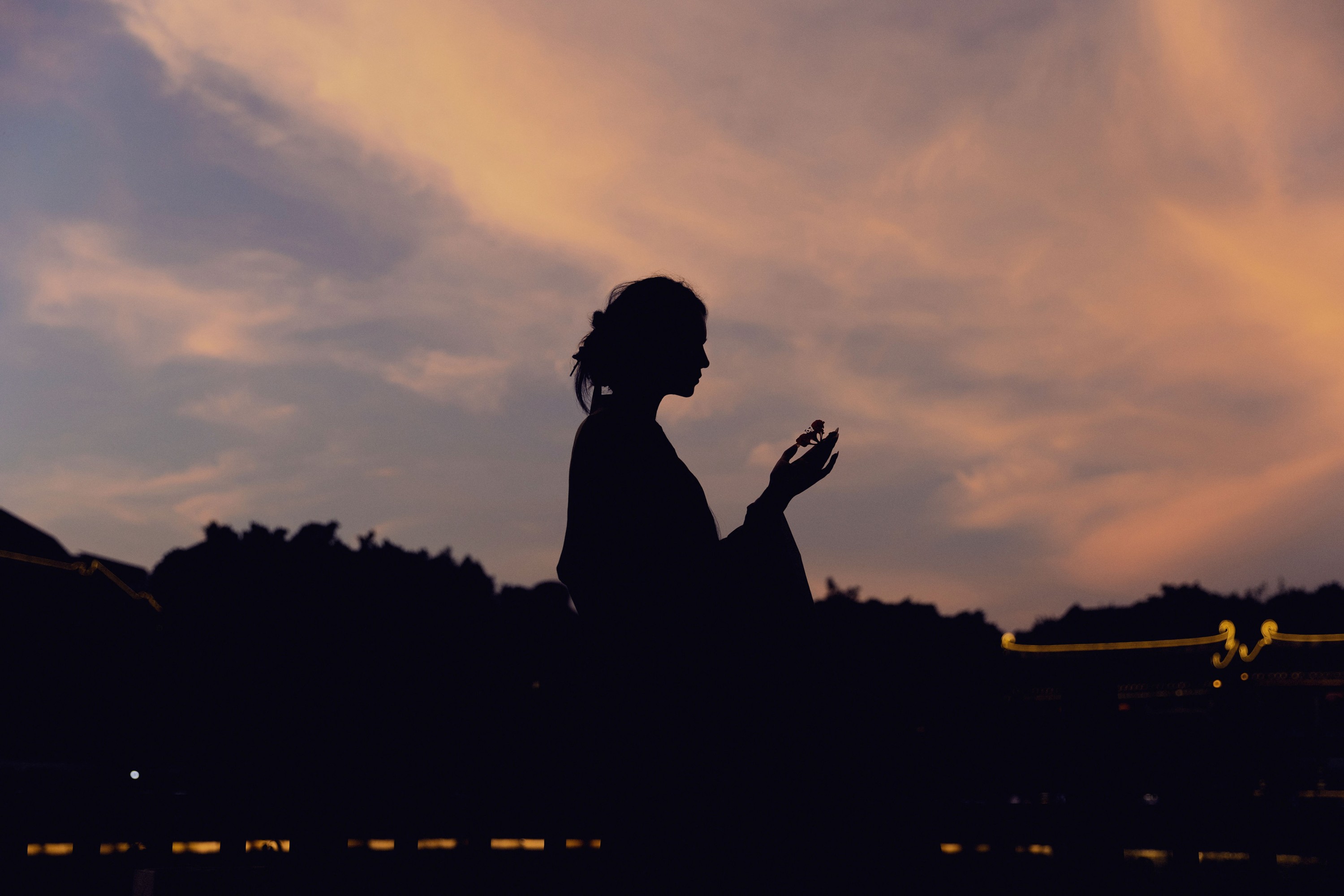 图片[3]-琳琅 – 《夜游记》[34P]-COS写真在线网