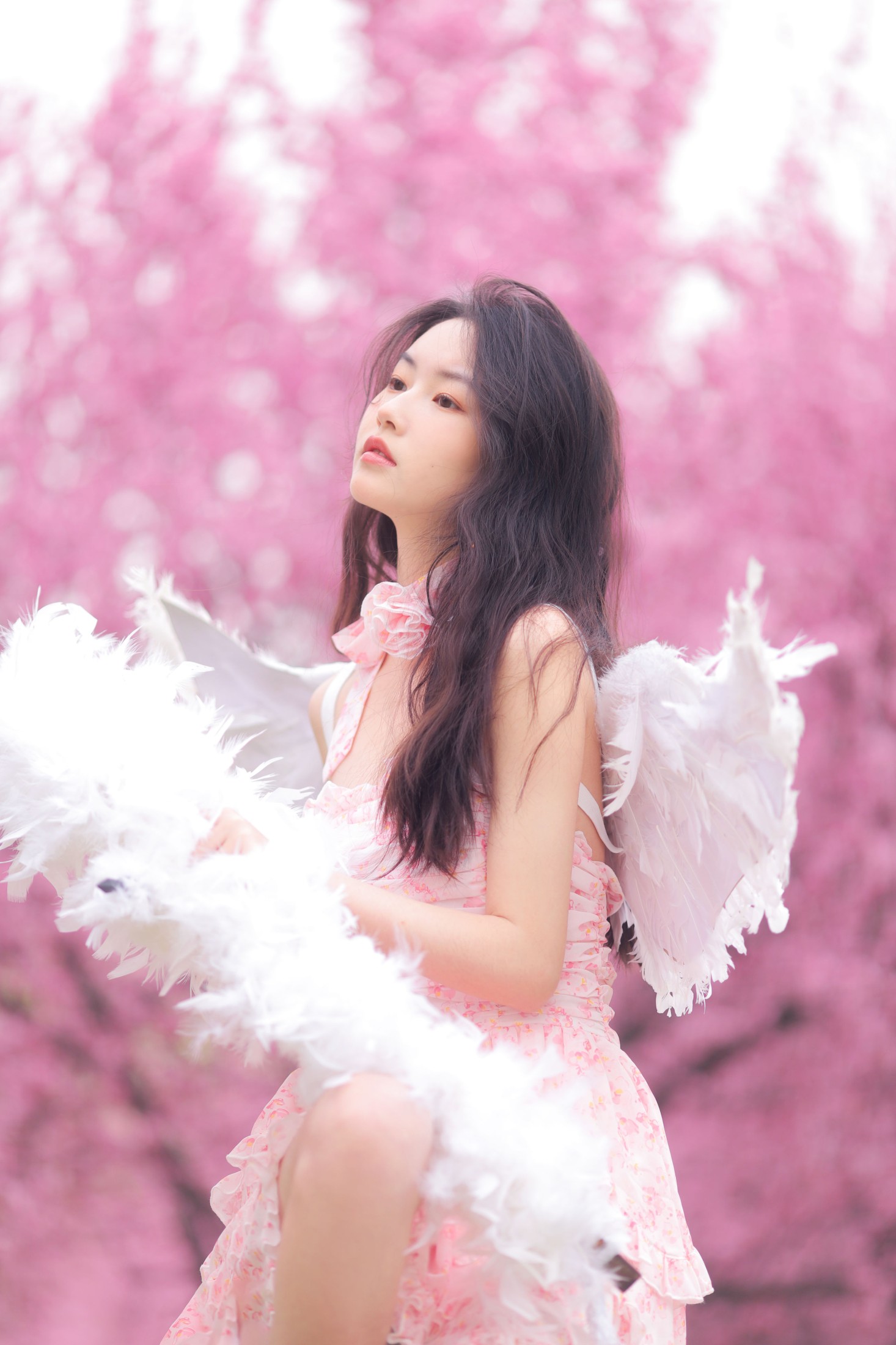 图片[6]-芮芮 – 《早樱天使》[32P]-COS写真在线网