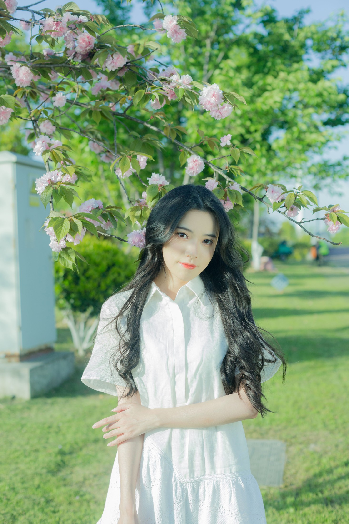 图片[6]-靜鏡婧 – 《给晚樱的情歌》[28P]-COS写真在线网