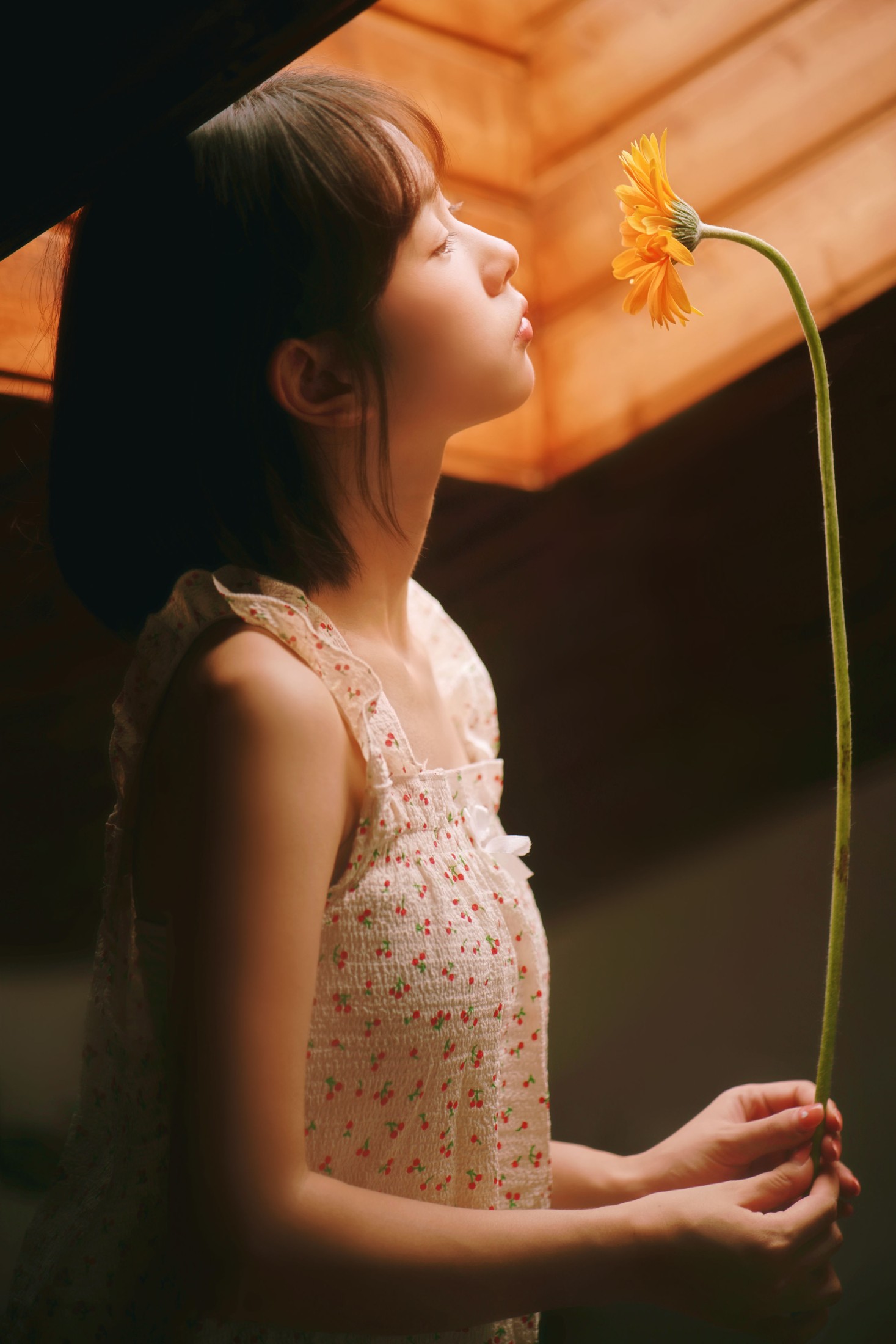 小微 – 《疯狂的鱼缸是我的宇航服，我带上心爱的非洲菊去登月》[29P] 插图5