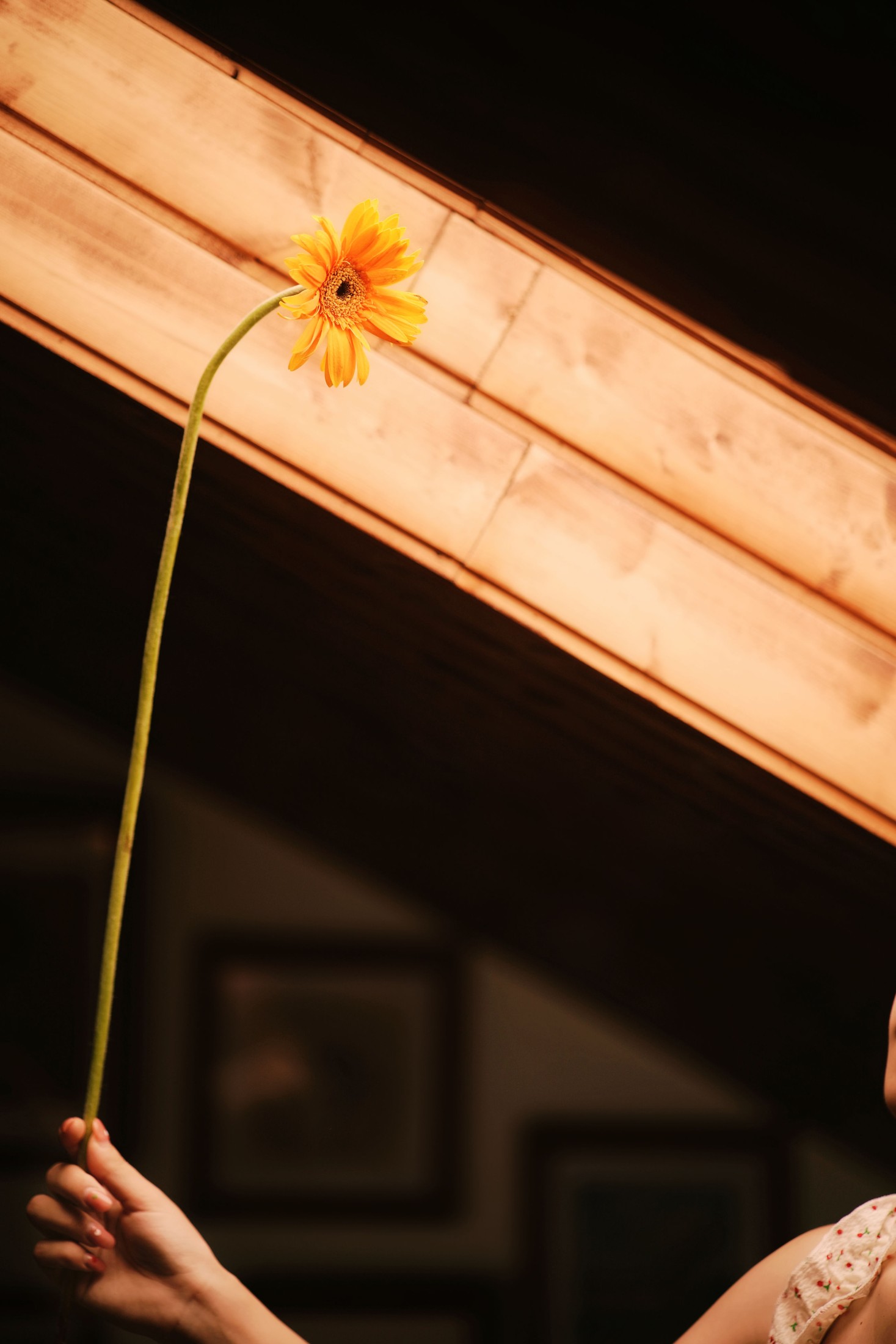 图片[6]-小微 – 《疯狂的鱼缸是我的宇航服，我带上心爱的非洲菊去登月》[29P]-COS写真在线网