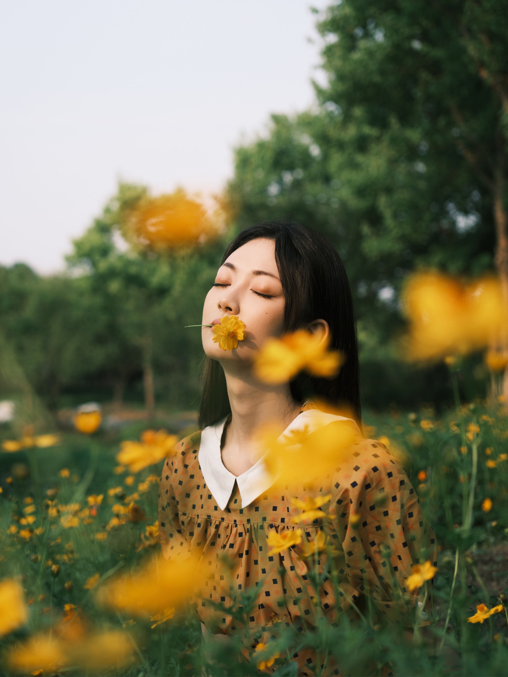 图片[6]-飞鸟咕咕- – 《硫华菊&柳叶马鞭草-是夏天的味道呀！》[44P]-COS写真在线网