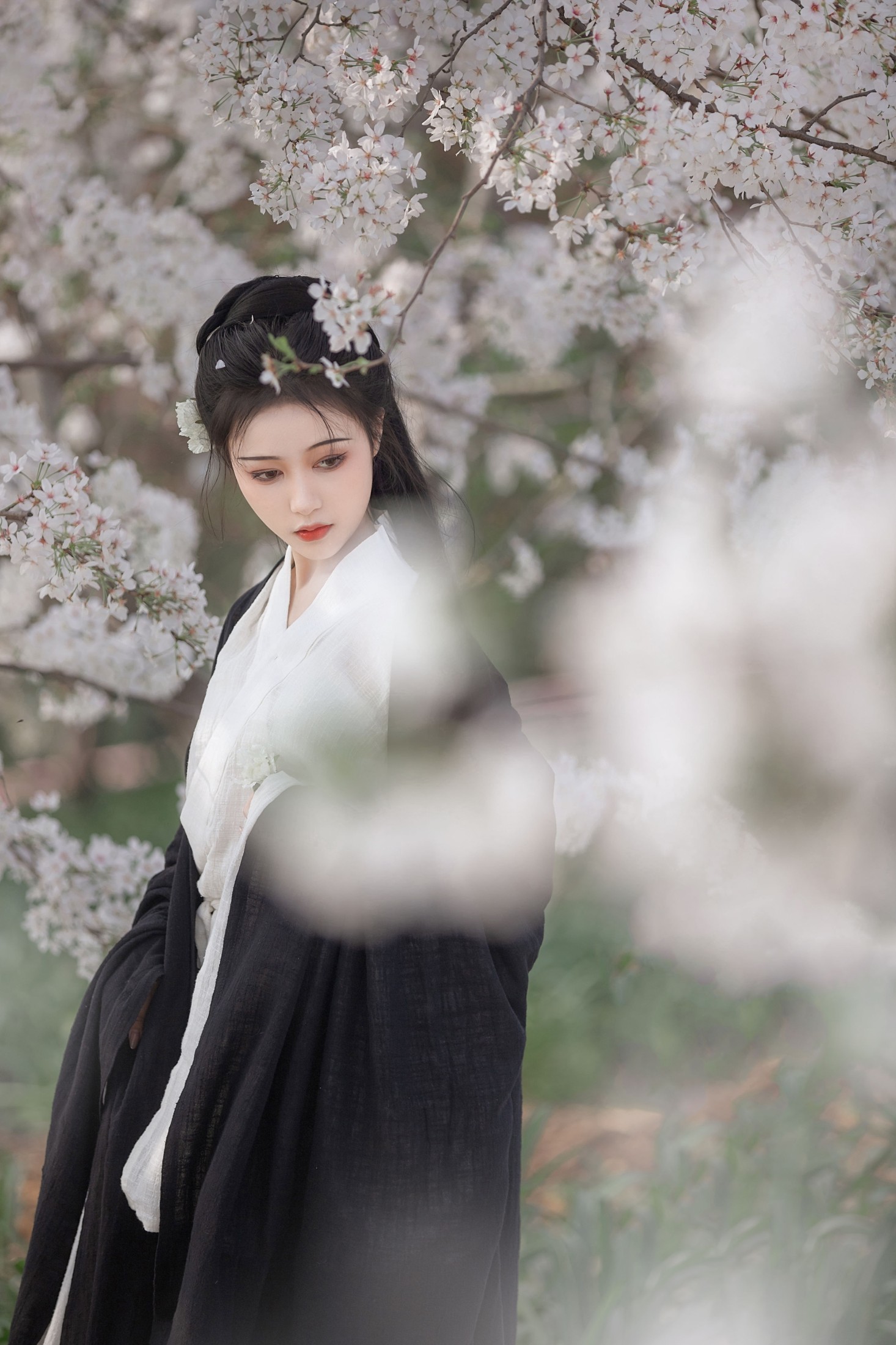 图片[5]-梨一依 – 《白樱》[25P]-COS写真在线网