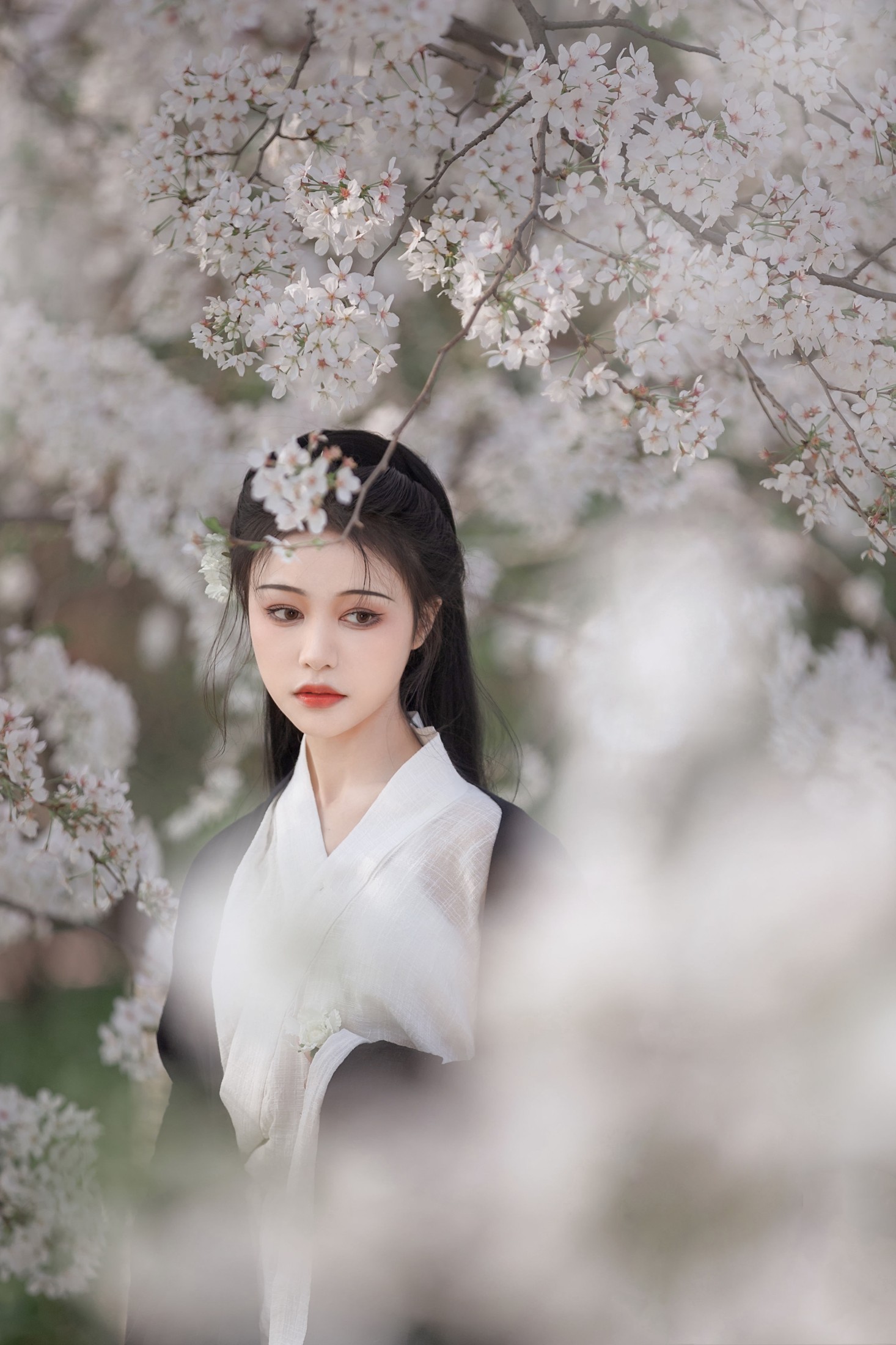 图片[6]-梨一依 – 《白樱》[25P]-COS写真在线网