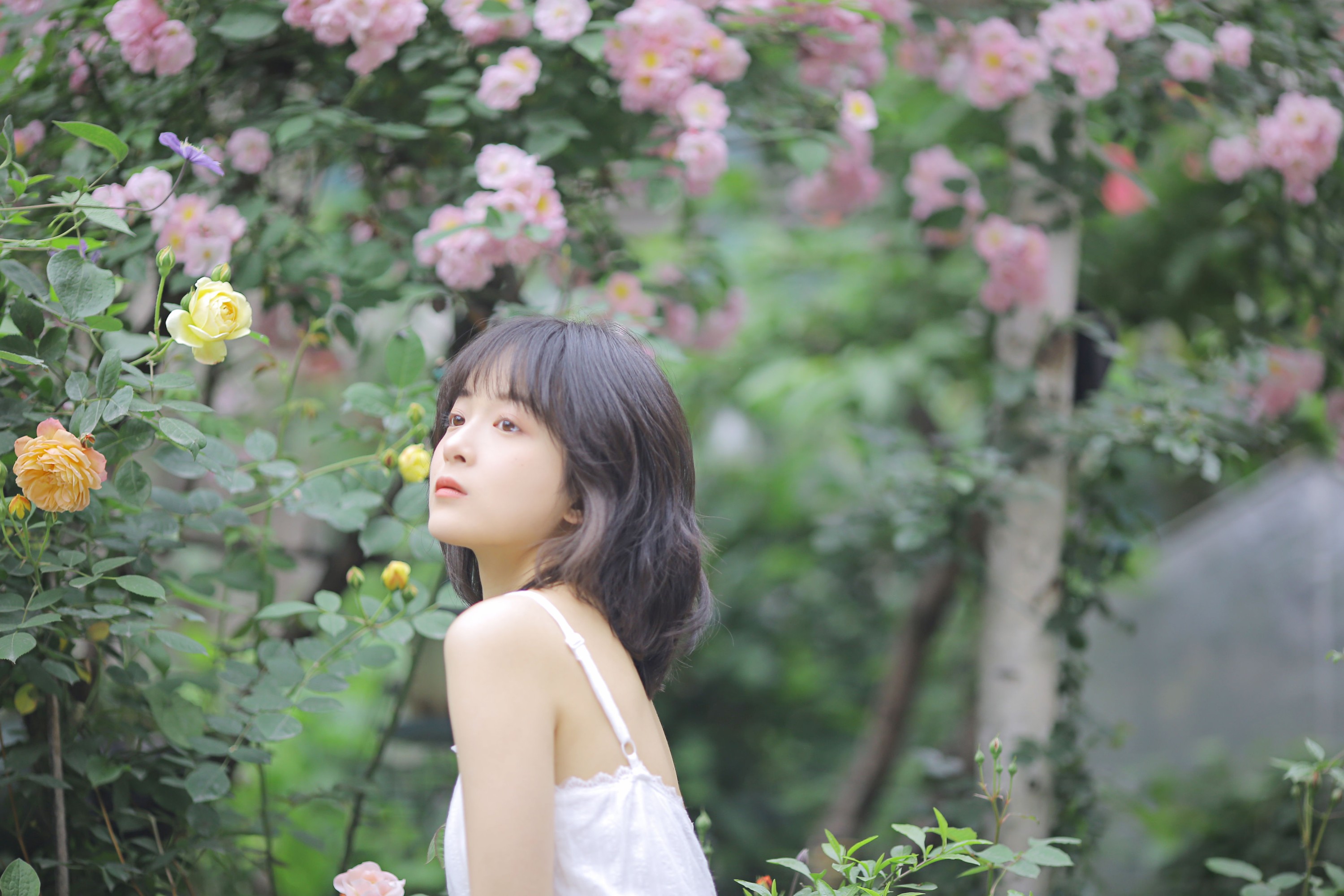 图片[6]-甜酒八號 – 《花期已致 美好如初》[30P]-COS写真在线网