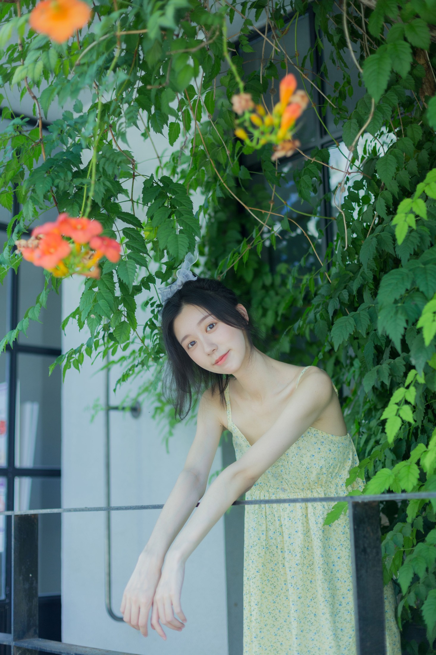 图片[6]-饲猫少女- – 《夏日凌霄》[33P]-COS写真在线网